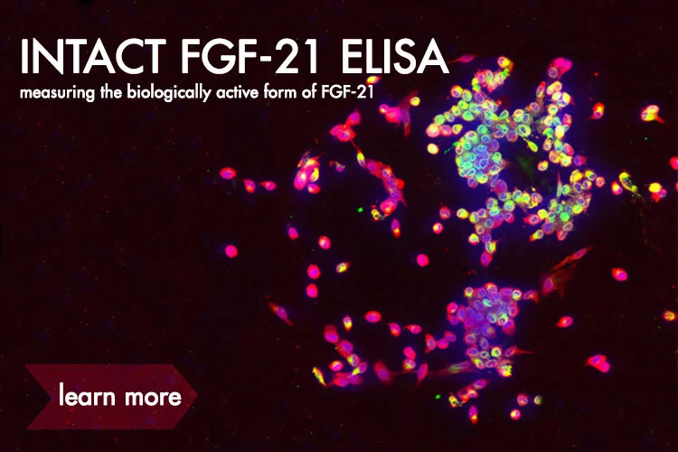 FGF-21.jpg