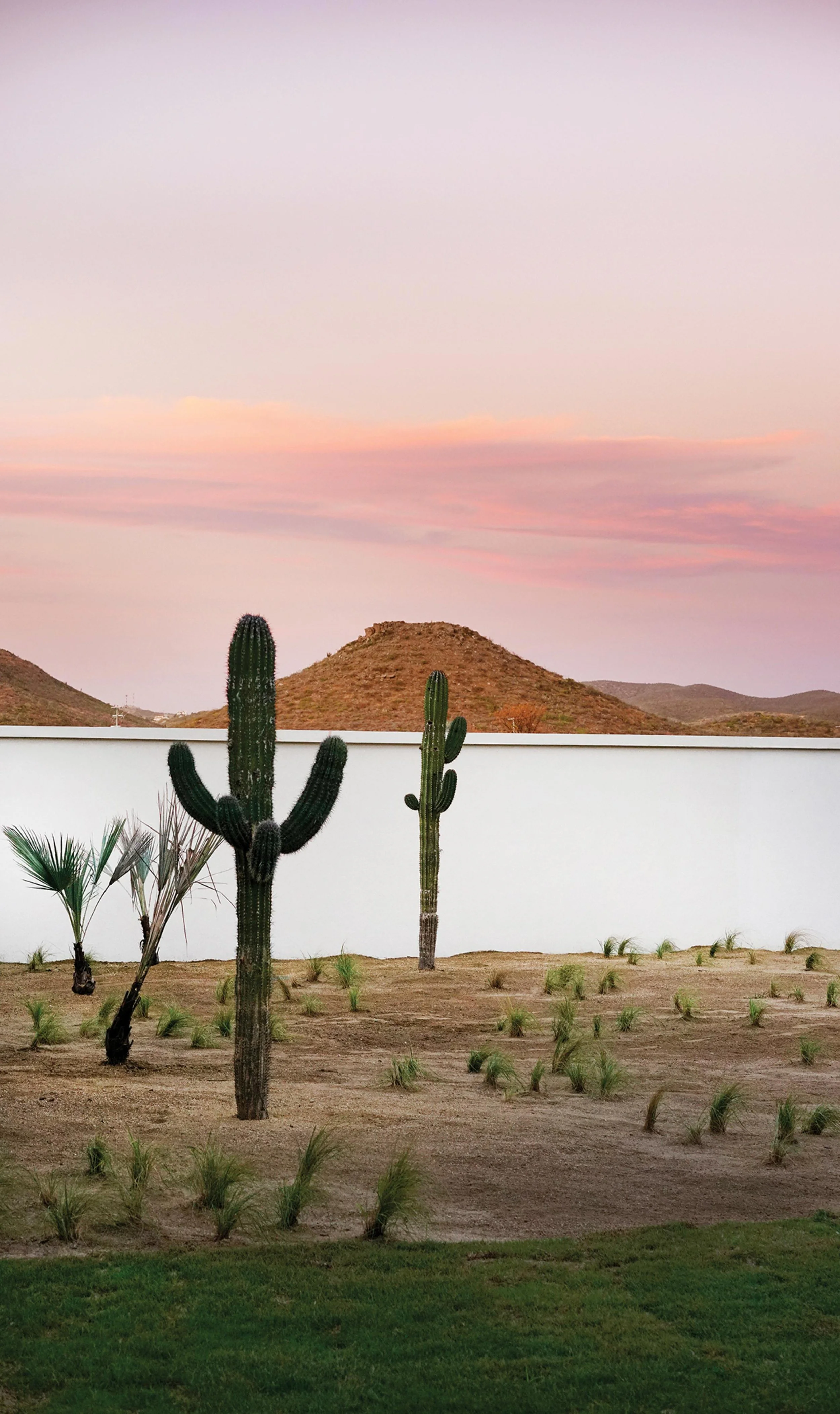 BEFORE SUNSET | A view from Bunkhouse Group’s new Hotel San Cristóbal in Todos Santos, Mexico. Photo: Pia Riverola for WSJ. Magazine