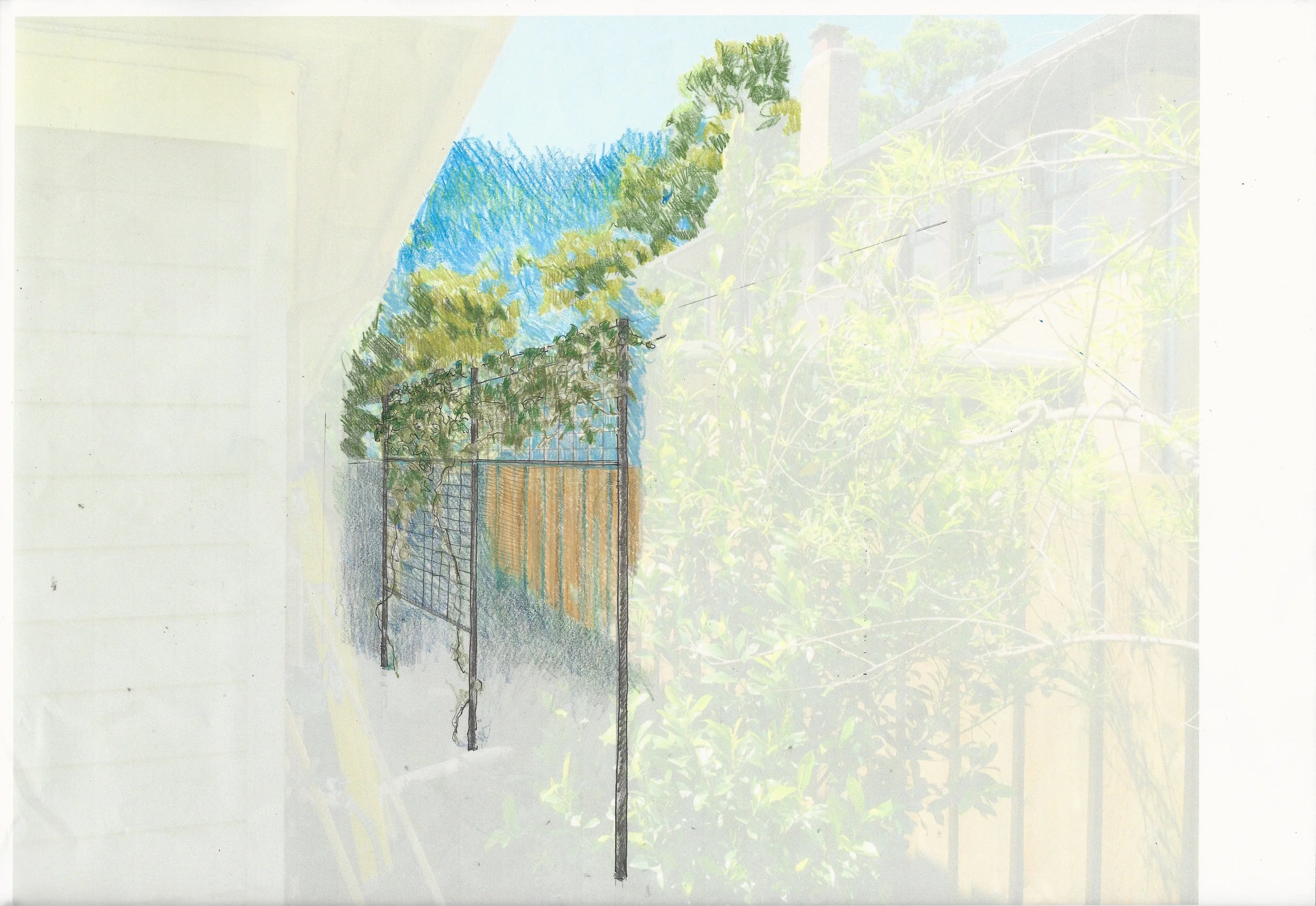 040717Longtrellis.jpeg