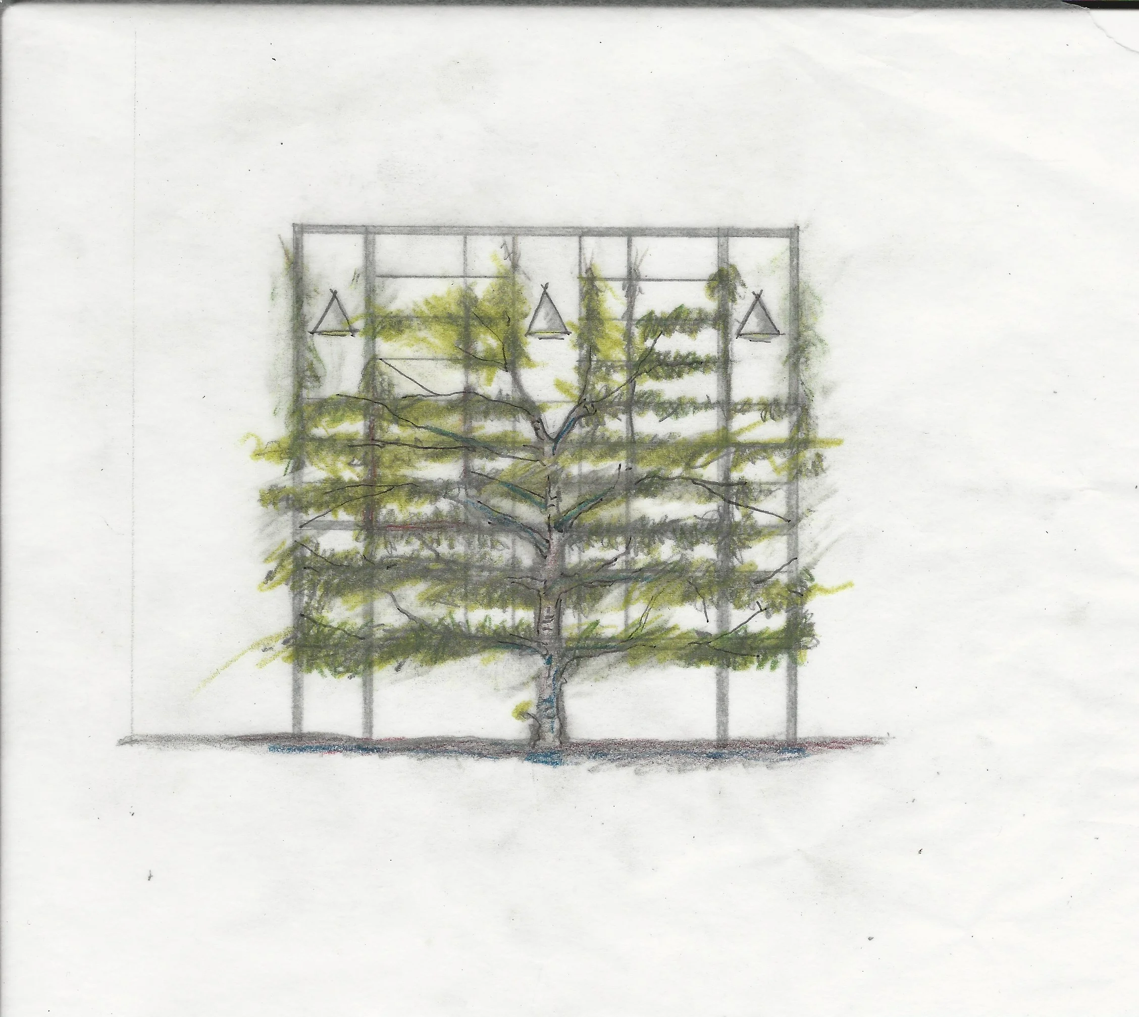 June's Bar Trellis .jpeg