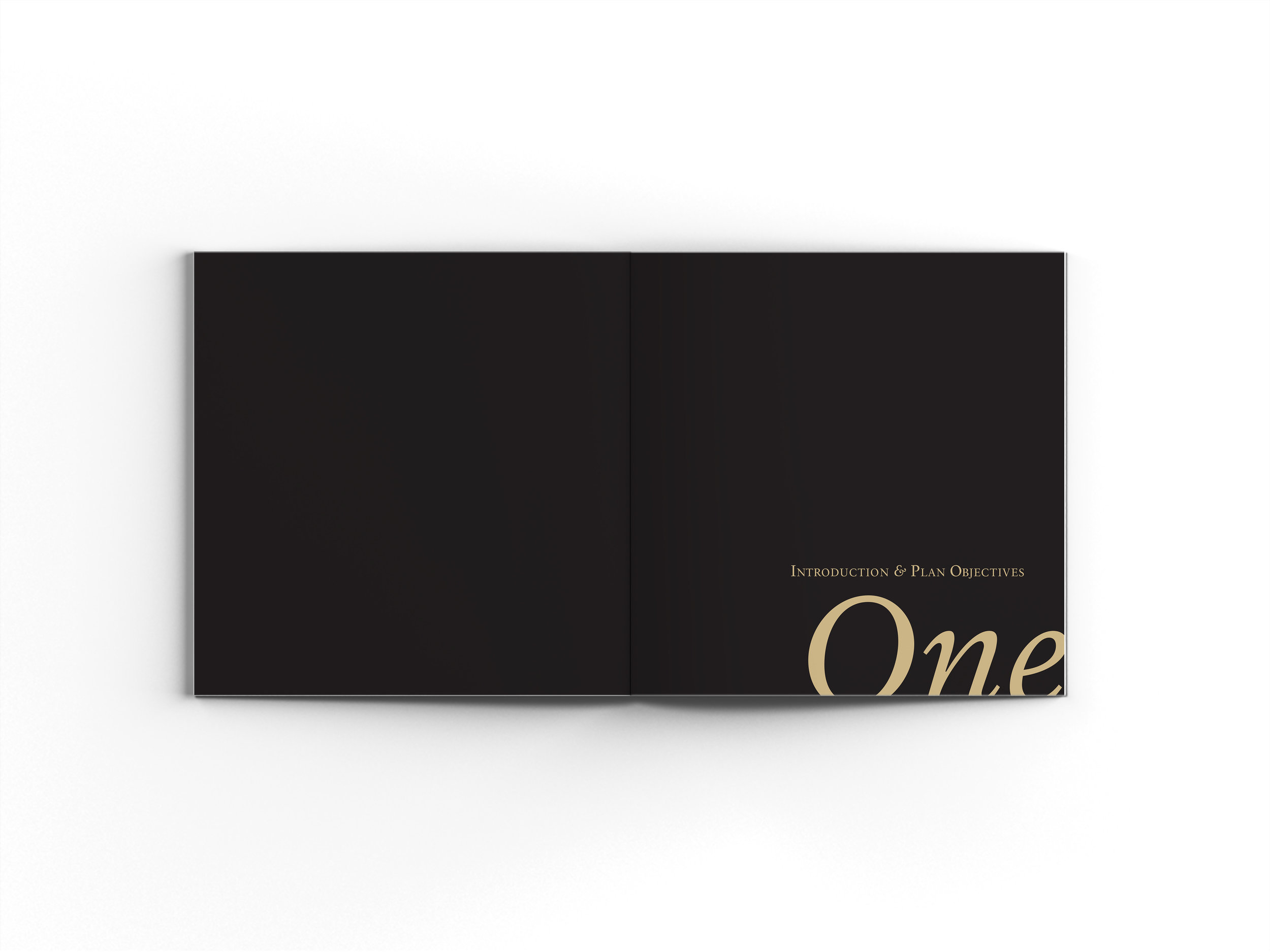 Sample divider pages with NPS identity fonts and a customized color palette.