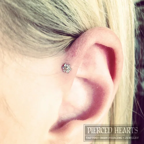 EARS — Pierced Hearts Tattoo Parlor