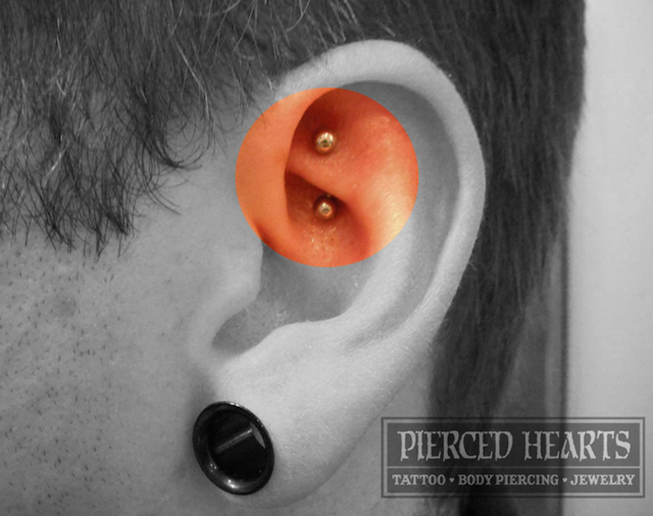 ROOK