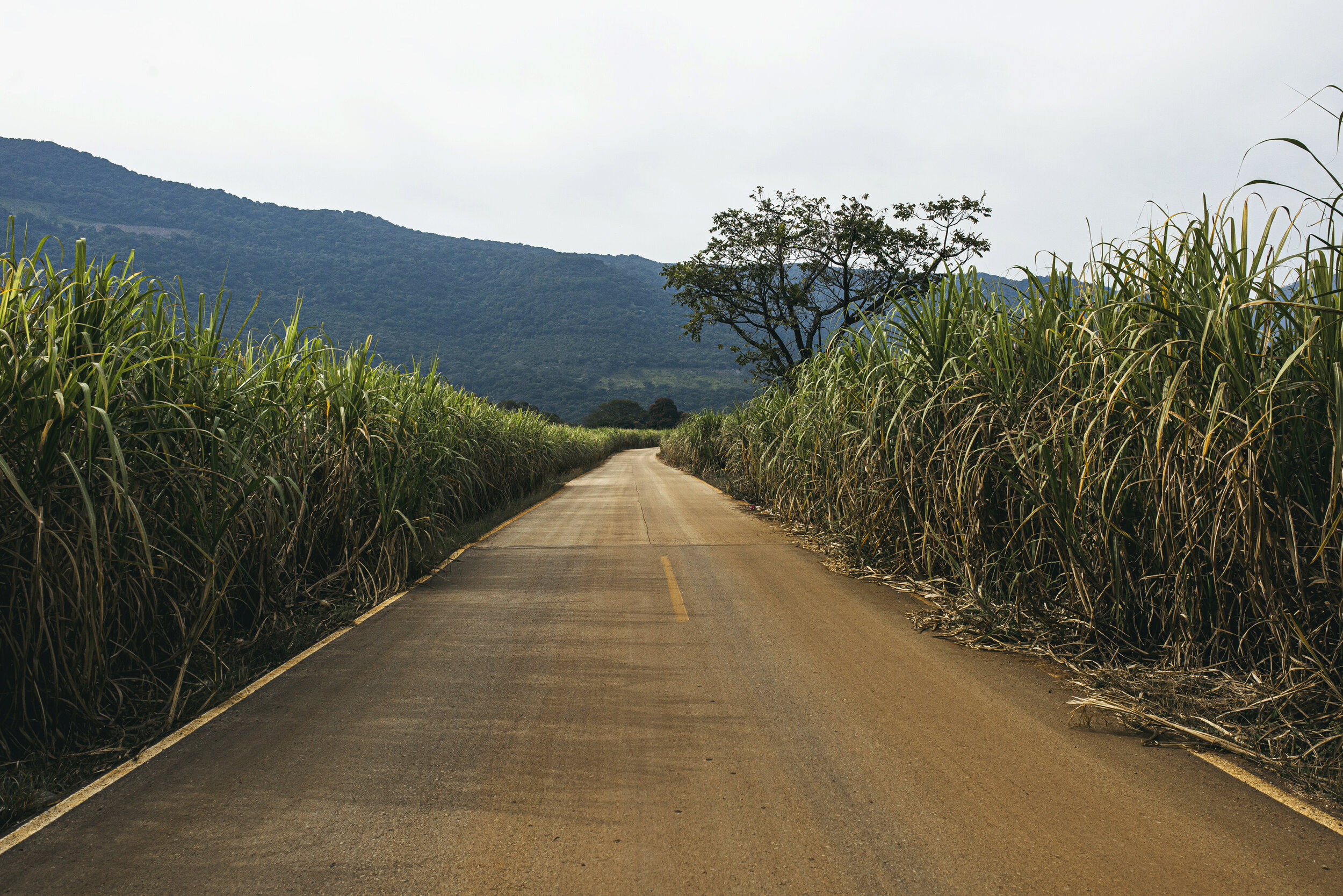 Roads_LandscapePhotography_Mexico_01.JPG