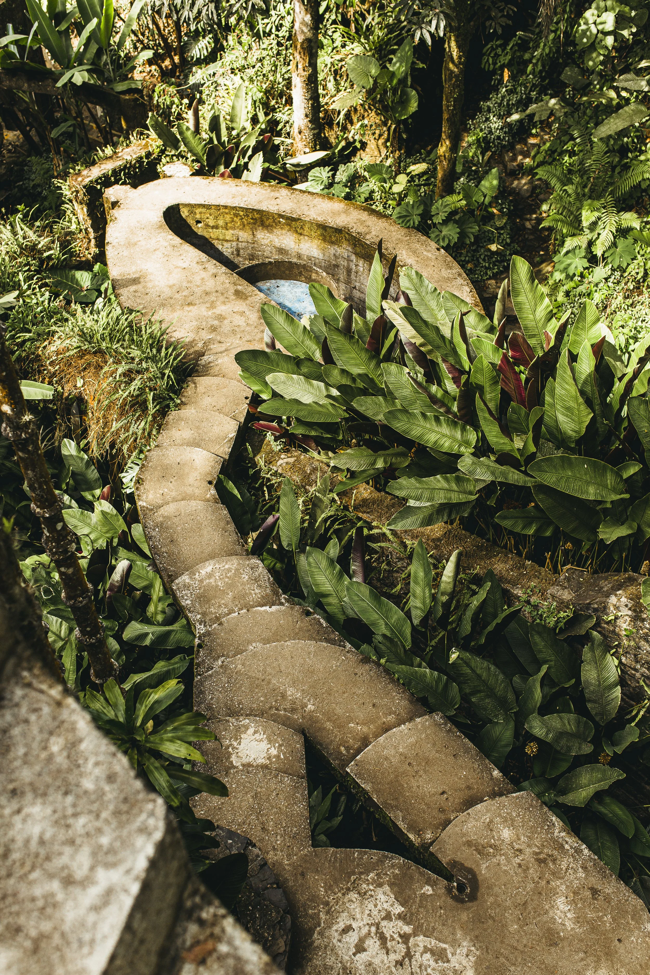 Greenery_Mexico_Landscape_Leaves1 (1).JPG