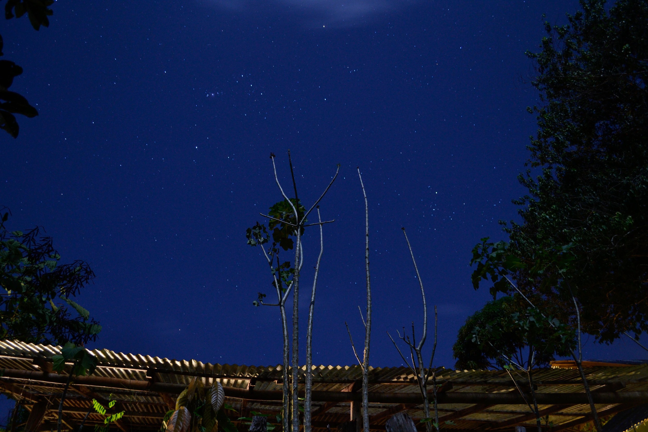  The night sky as seen looking towards the plant nursery from the yoga deck of La Iguana. 