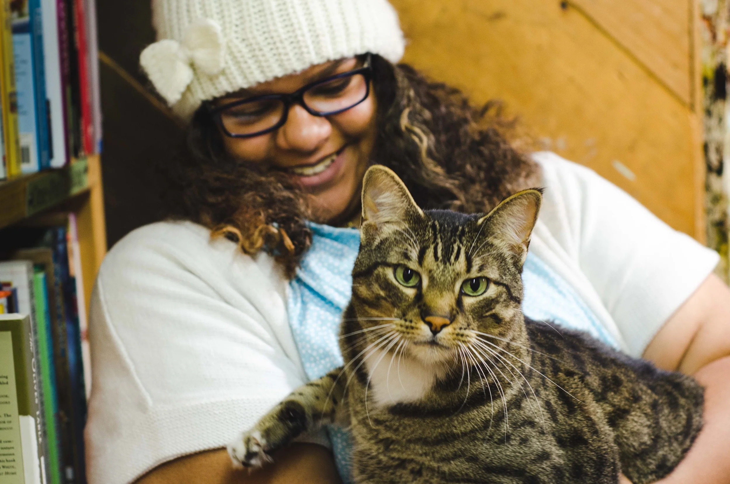 Adventures with the cat of A Novel Idea Bookstore