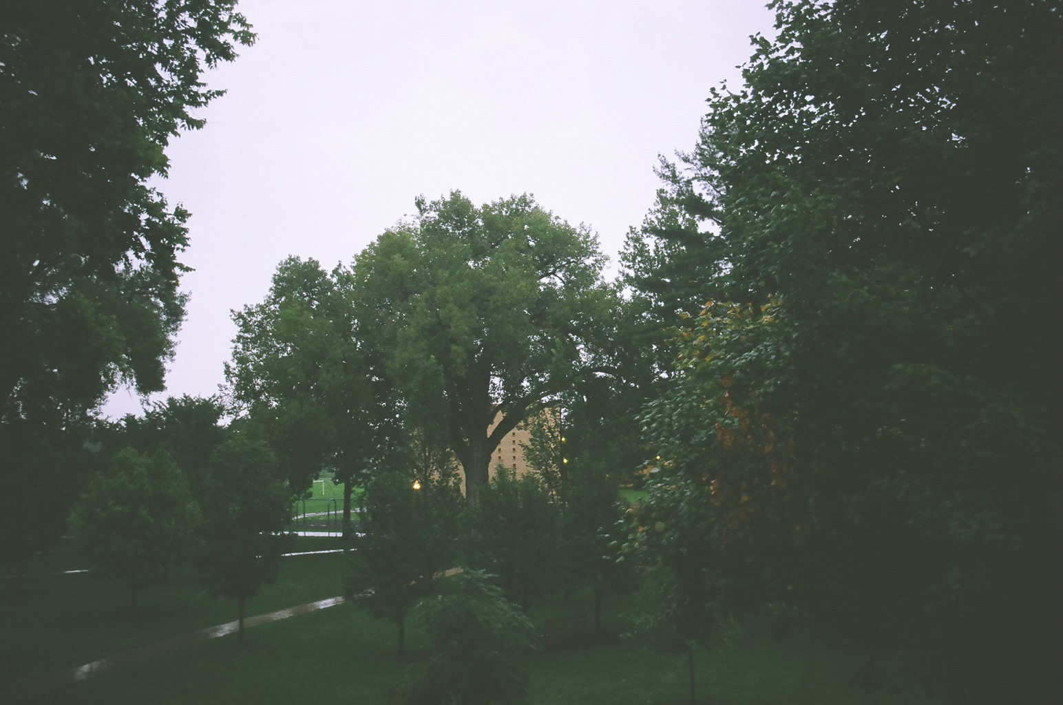 rainy mornings // view from my dorm room