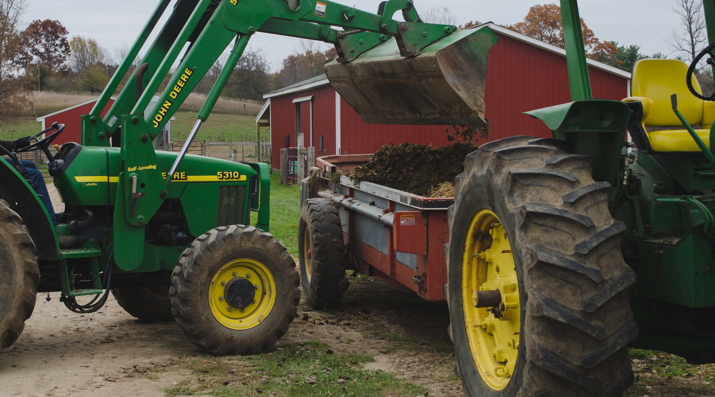 Filling the manure spreader, to be taken and spread out over a field