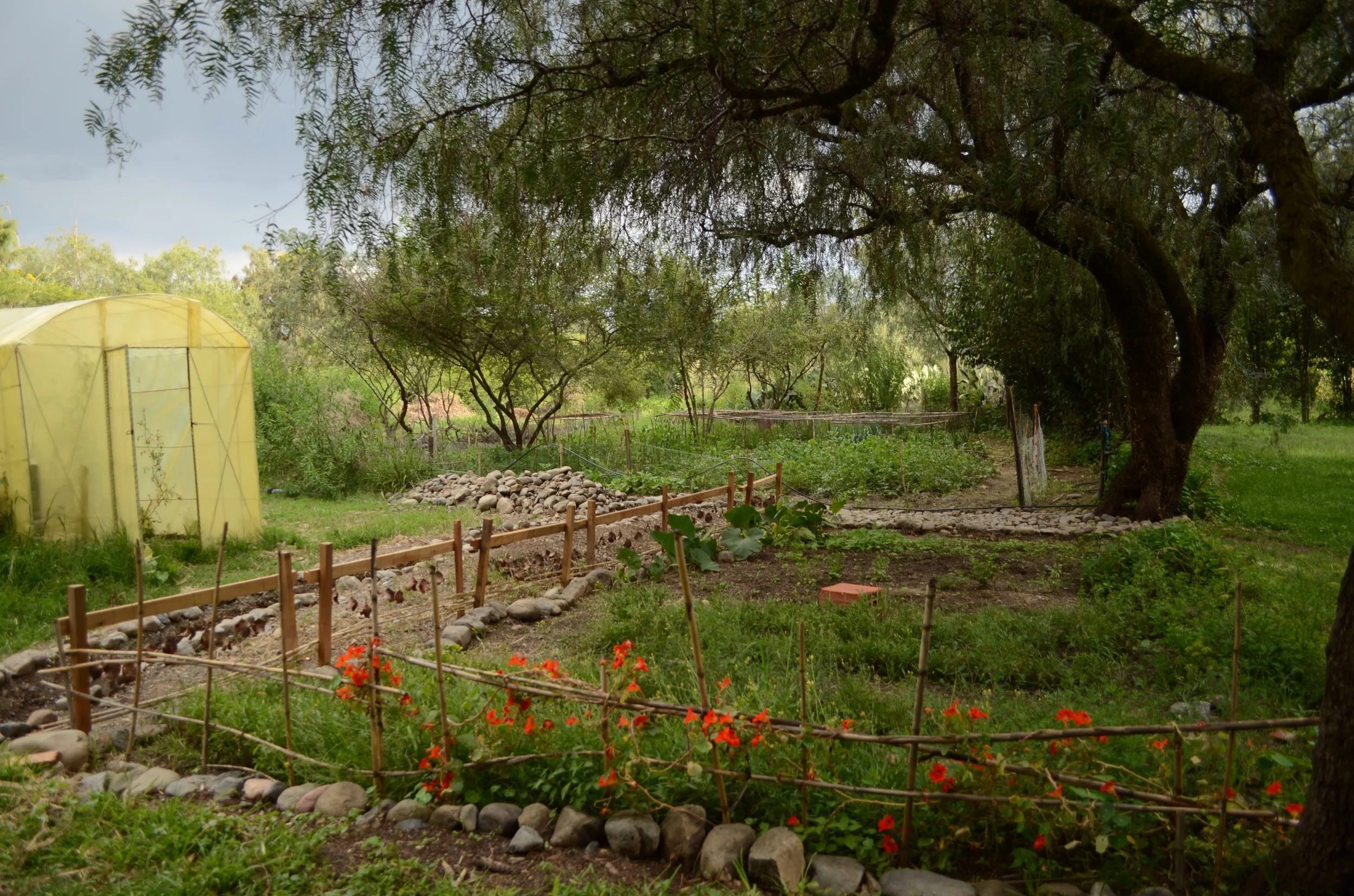 garden extension and greenhouse