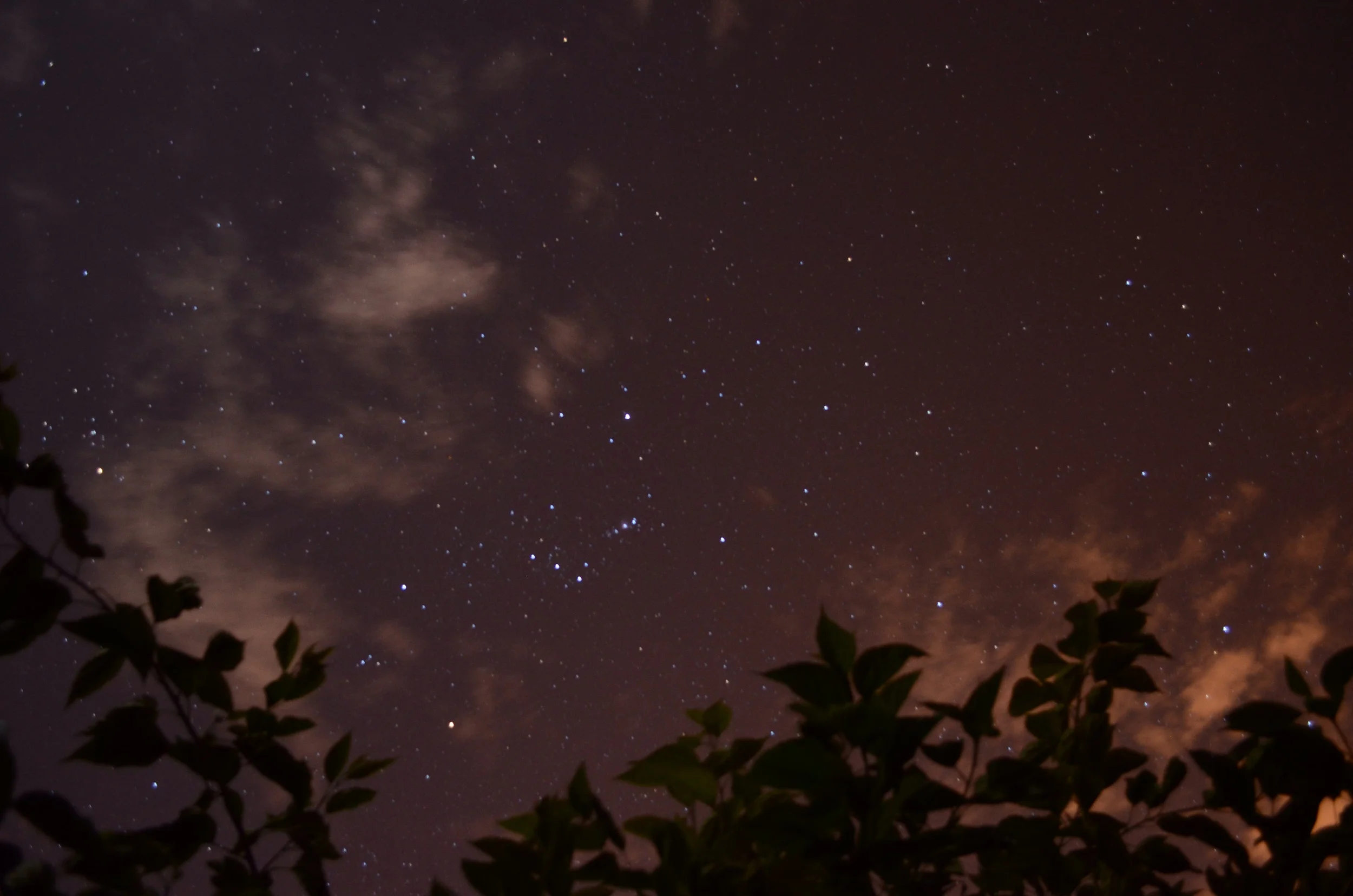 The stars at night were gorgeous, a glimpse into the southern hemisphere's night sky