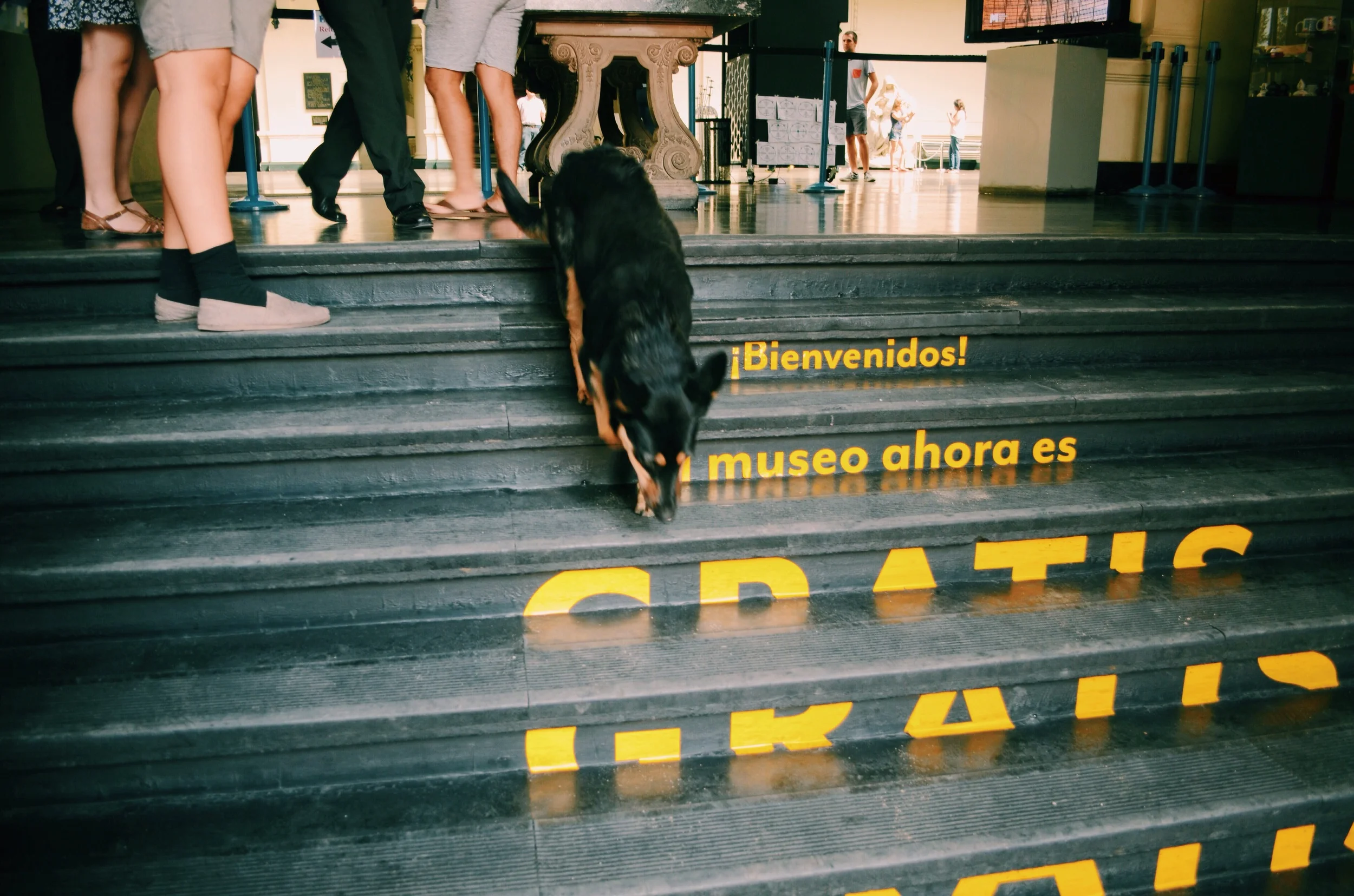 "Bienvenidos! El museo ahora es gratis" (Welcome! The museum is now free) did not apply to the dog who followed us in. He was not welcomed by the museum staff :(