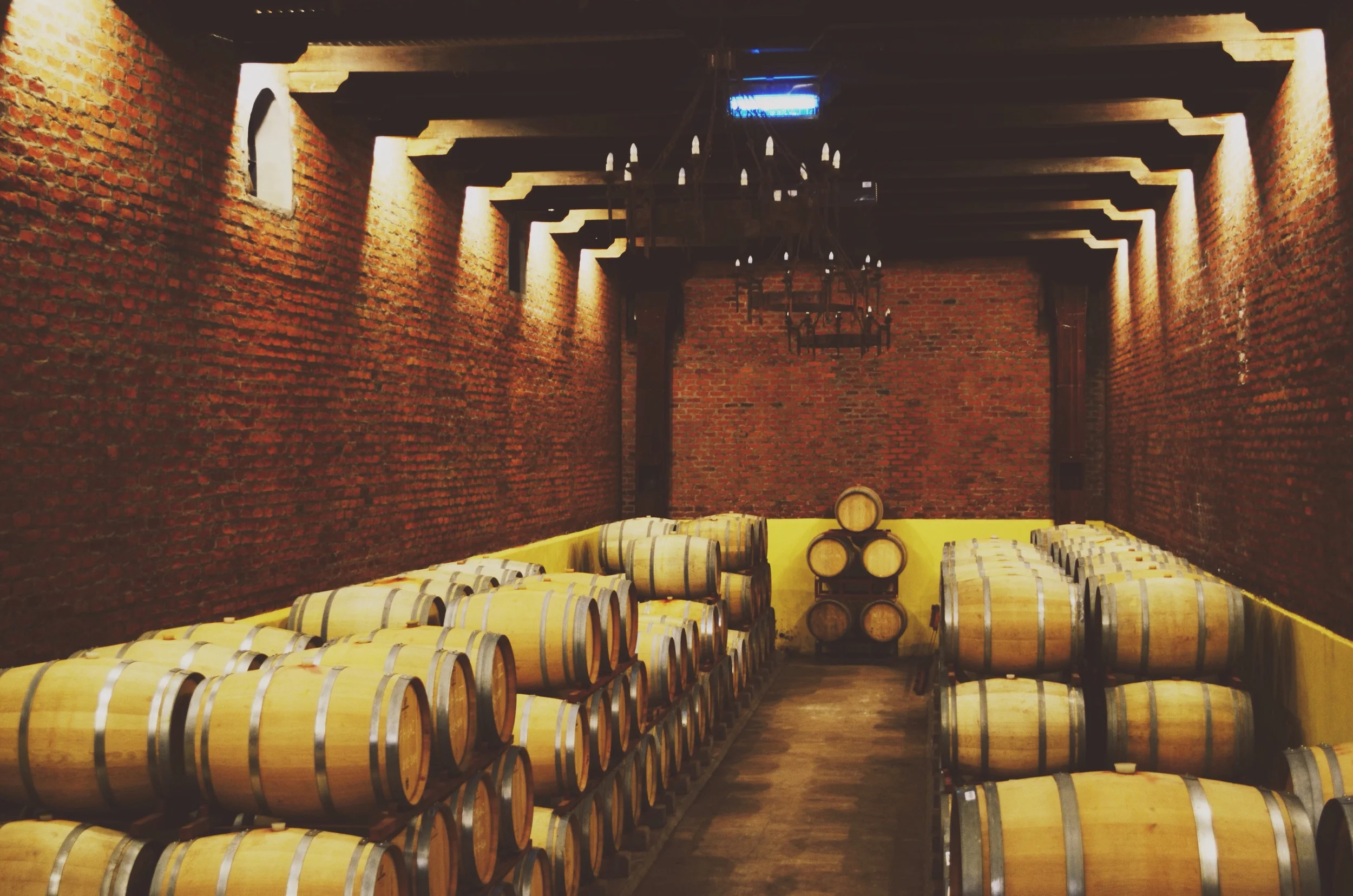 Wine cellar // 29 may