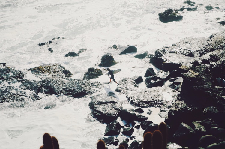  Punta de Lobos 