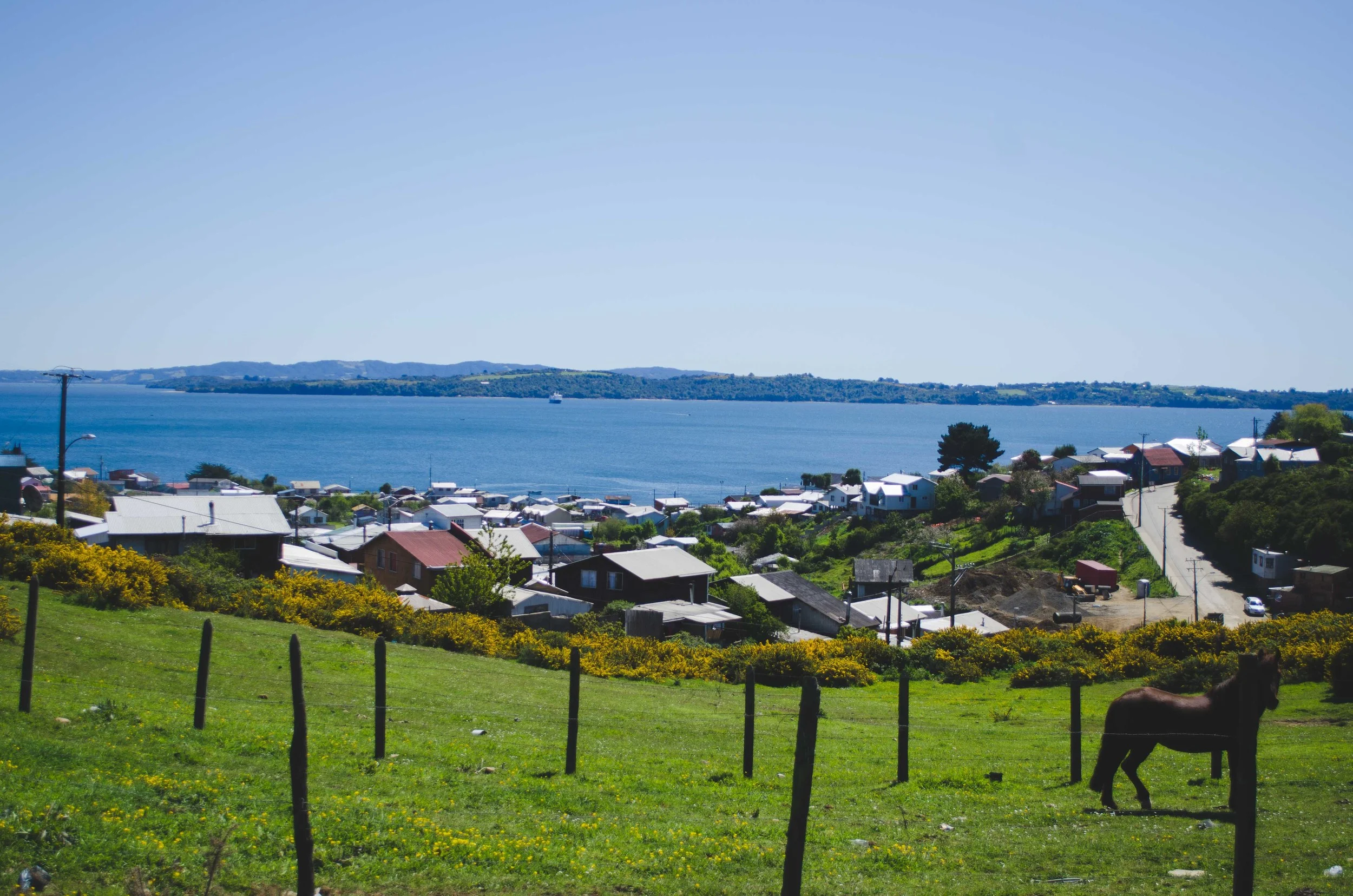 We lunched in a clean, currently unused livestock barn in Ancud