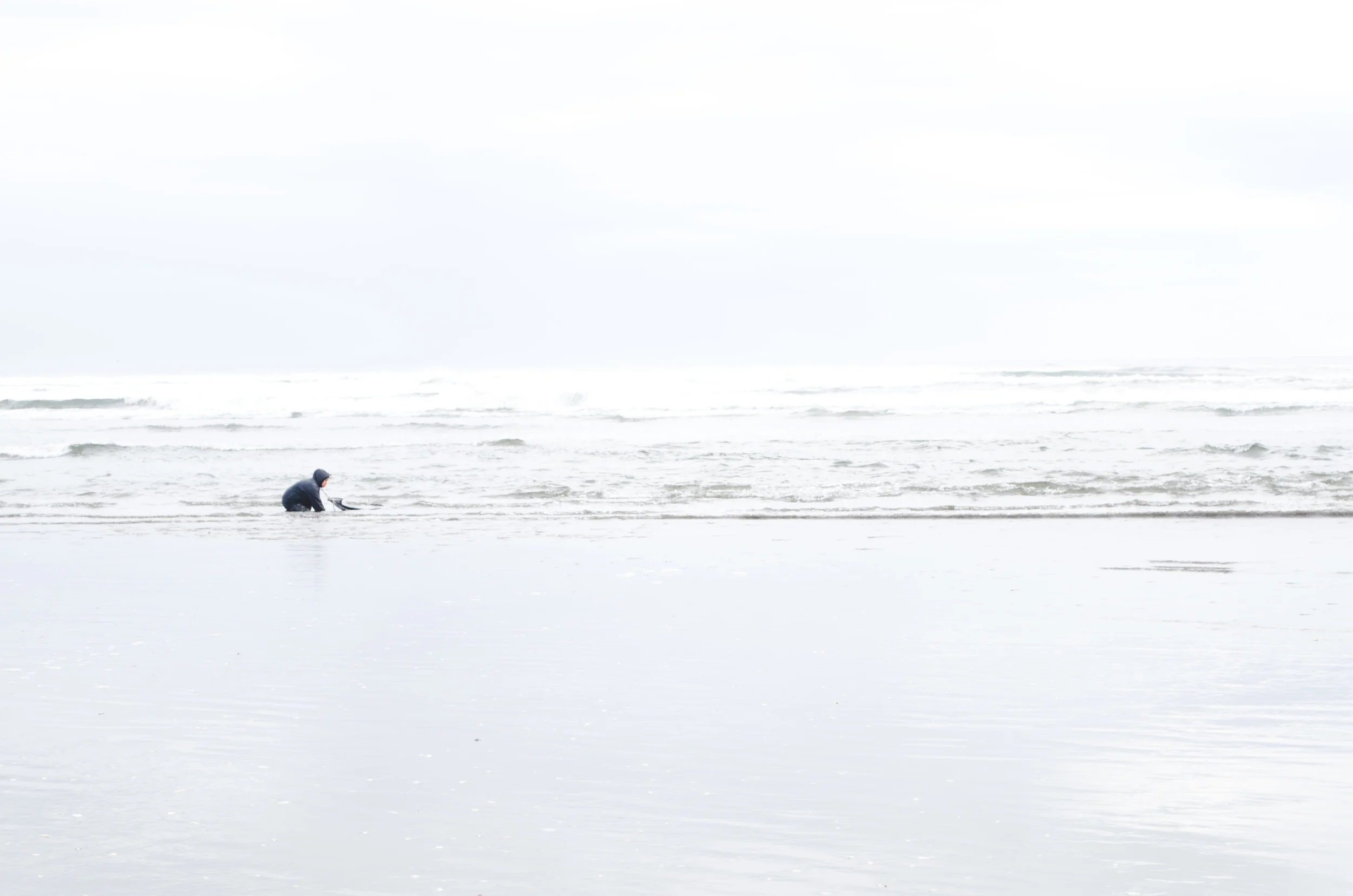 beach outside Chiloé National Park, where a woman is collecting seafood