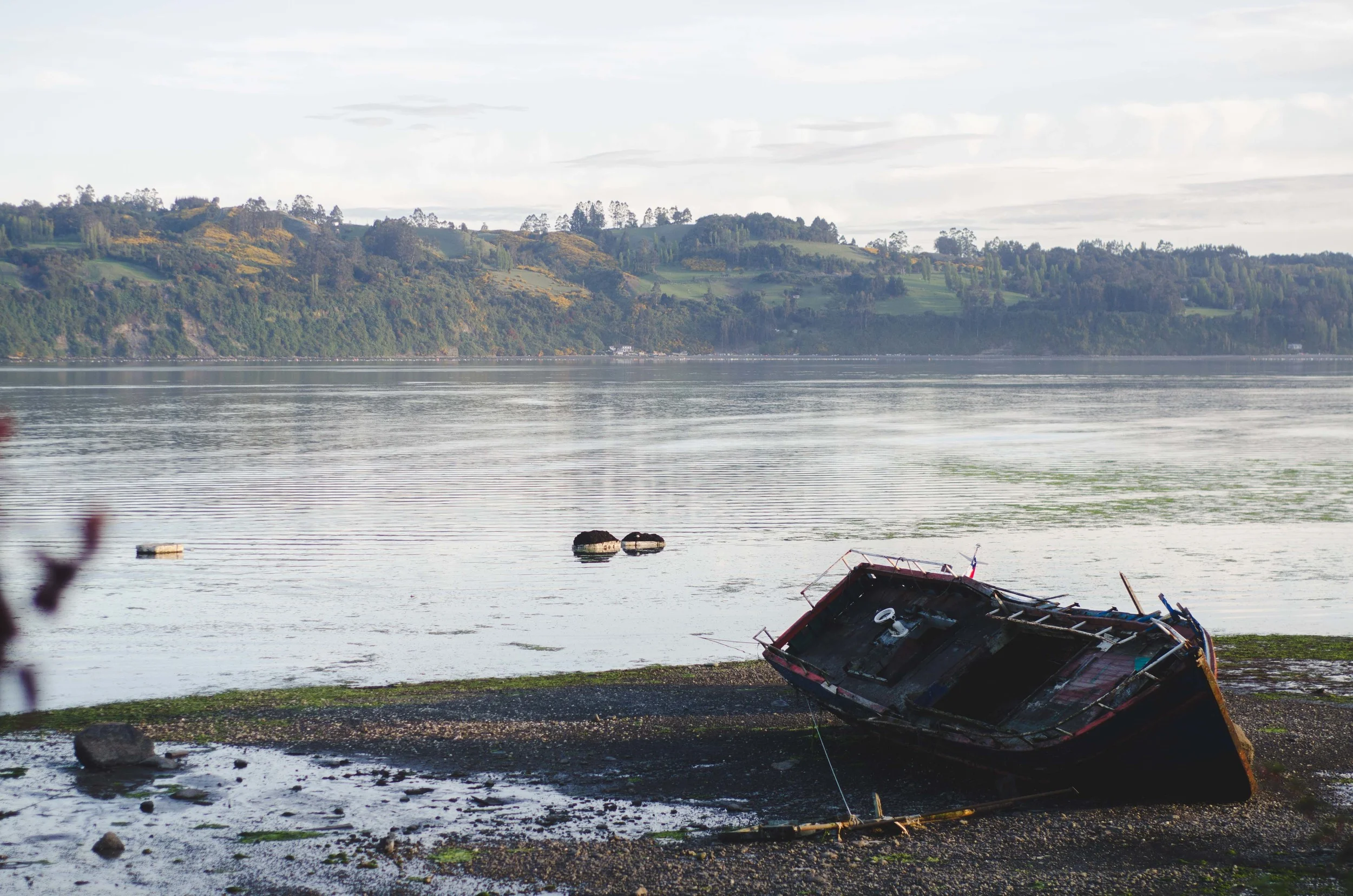low tide in front of our cabins