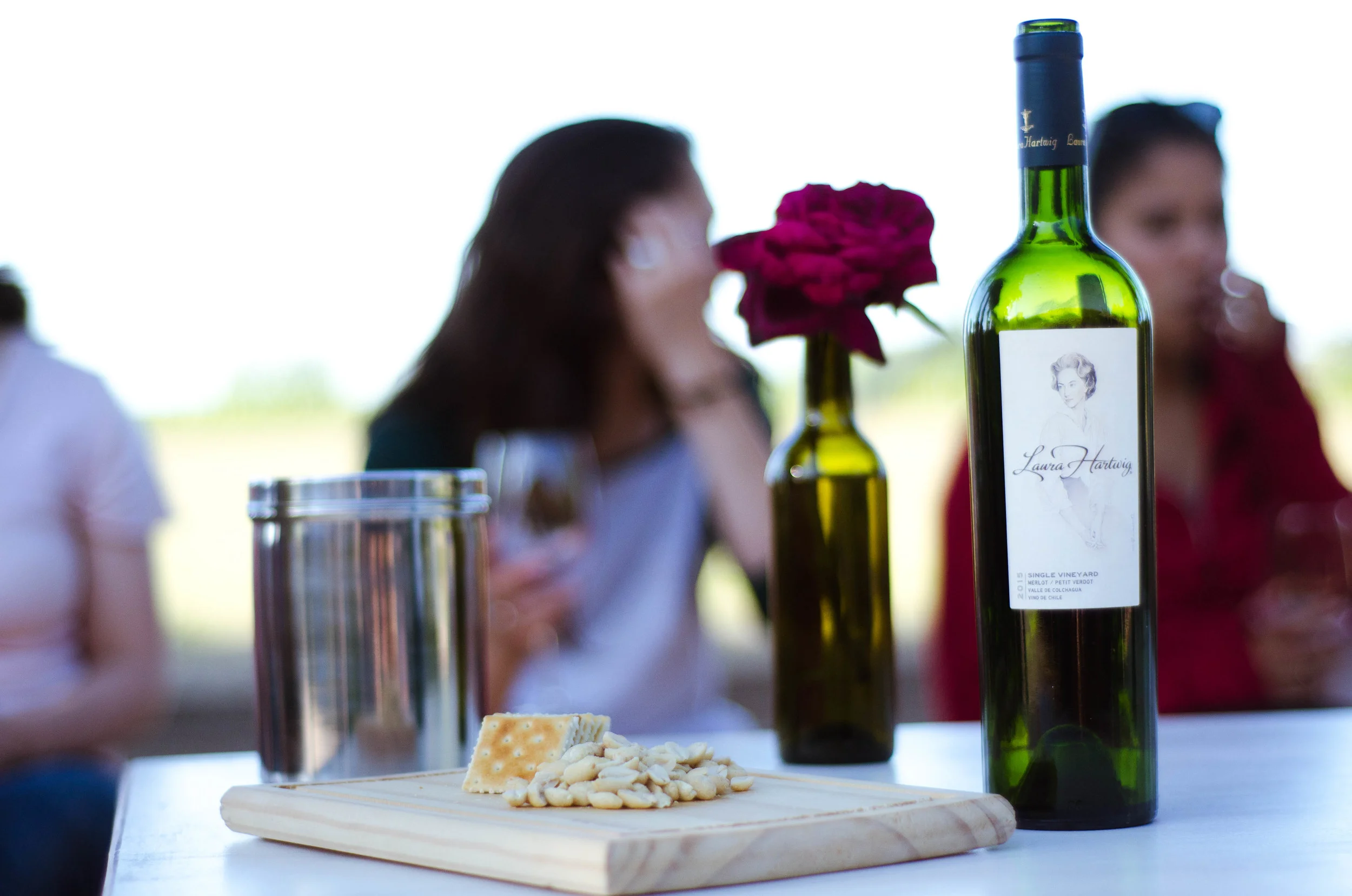 Wine tasting at Laura Hartwig vineyard // 27 november