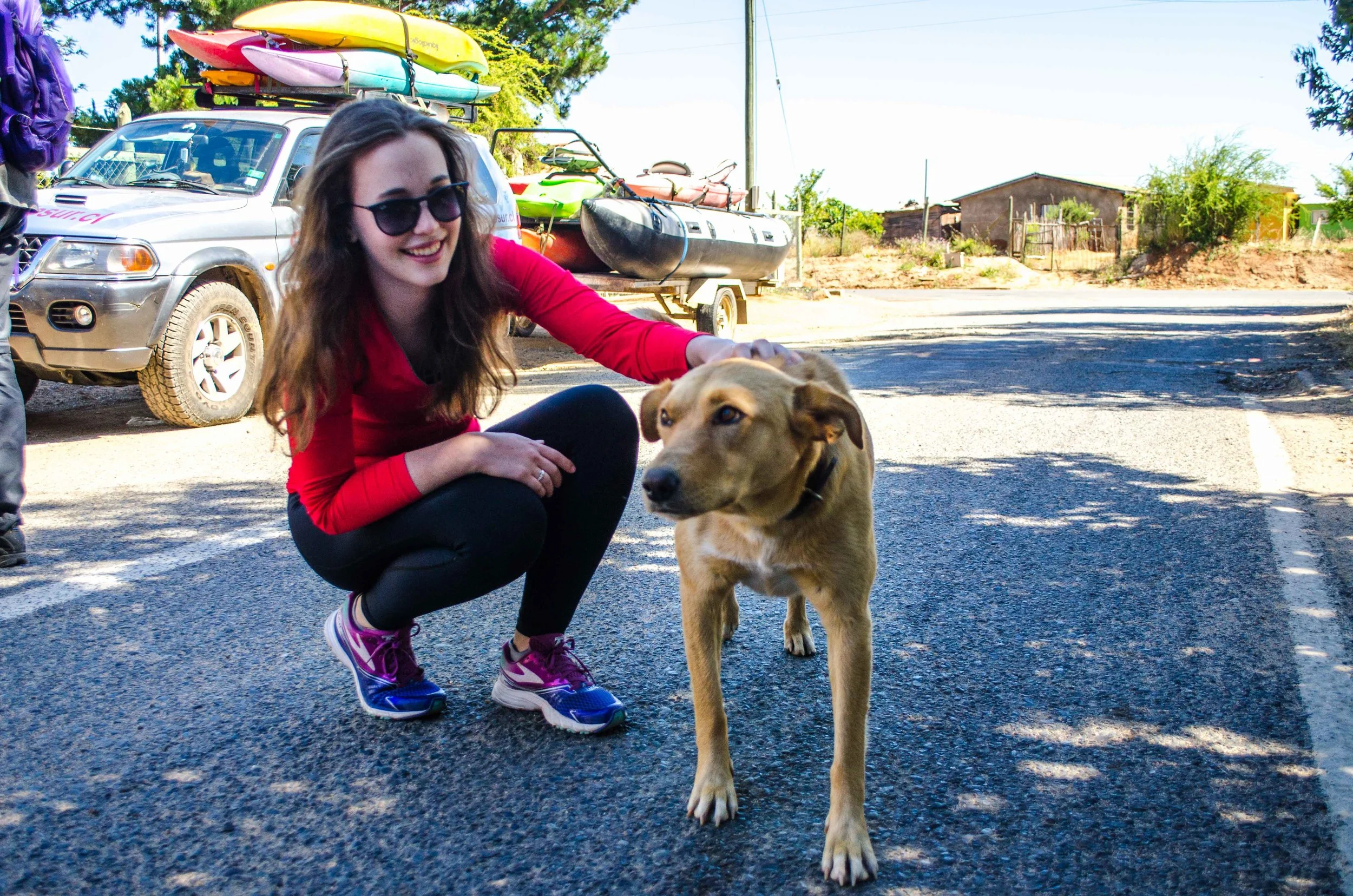 Mayo, the official company dog, escorted us on our trip // 29 november