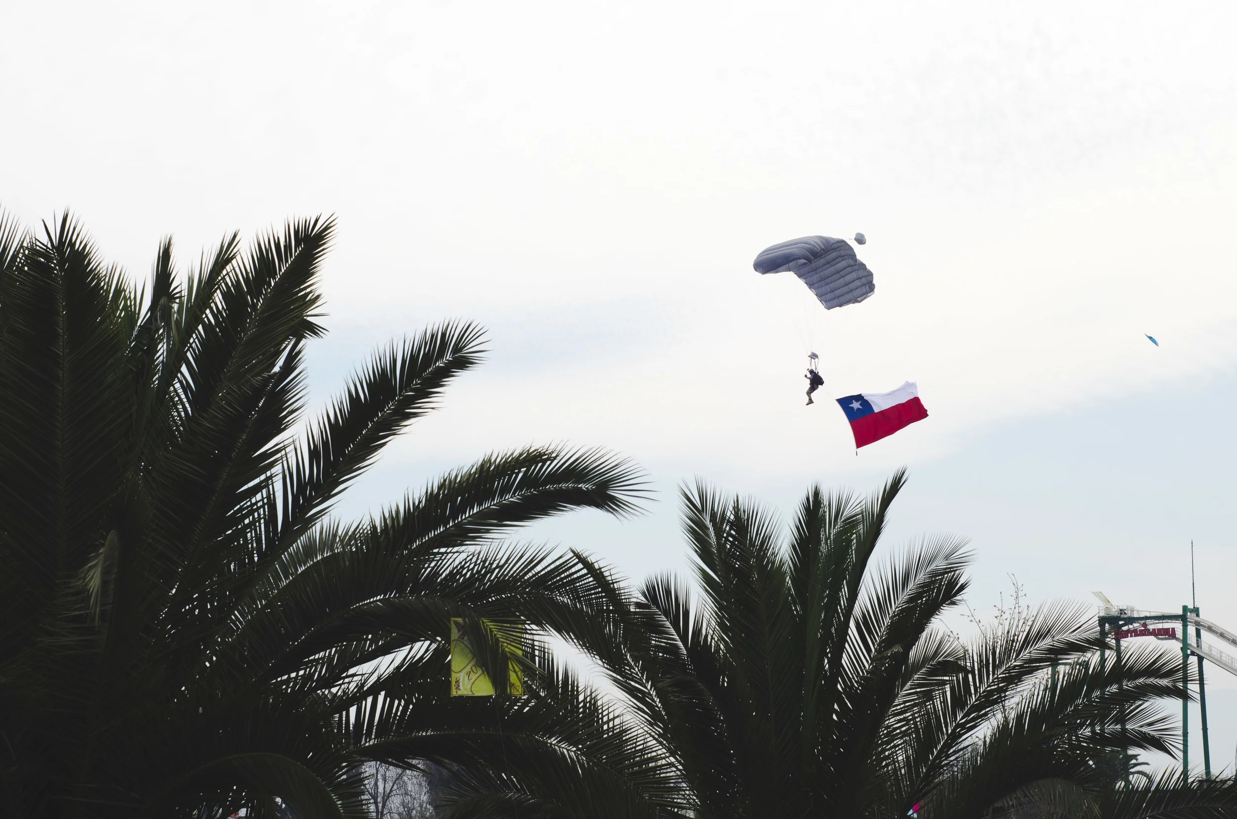 One of several parachuters coming down the parade runway.
