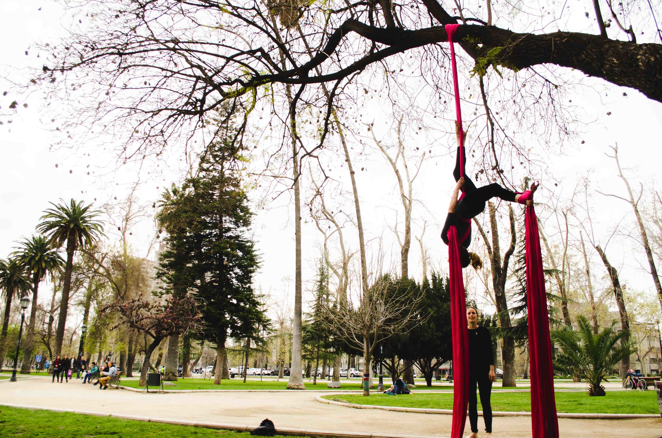  Aerial silks in Bellavista, Santiago 