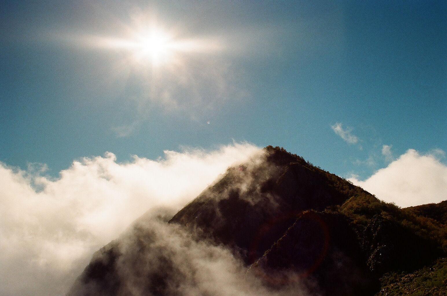  Hiking in Parque Tricahue. Shot on 35mm film. 