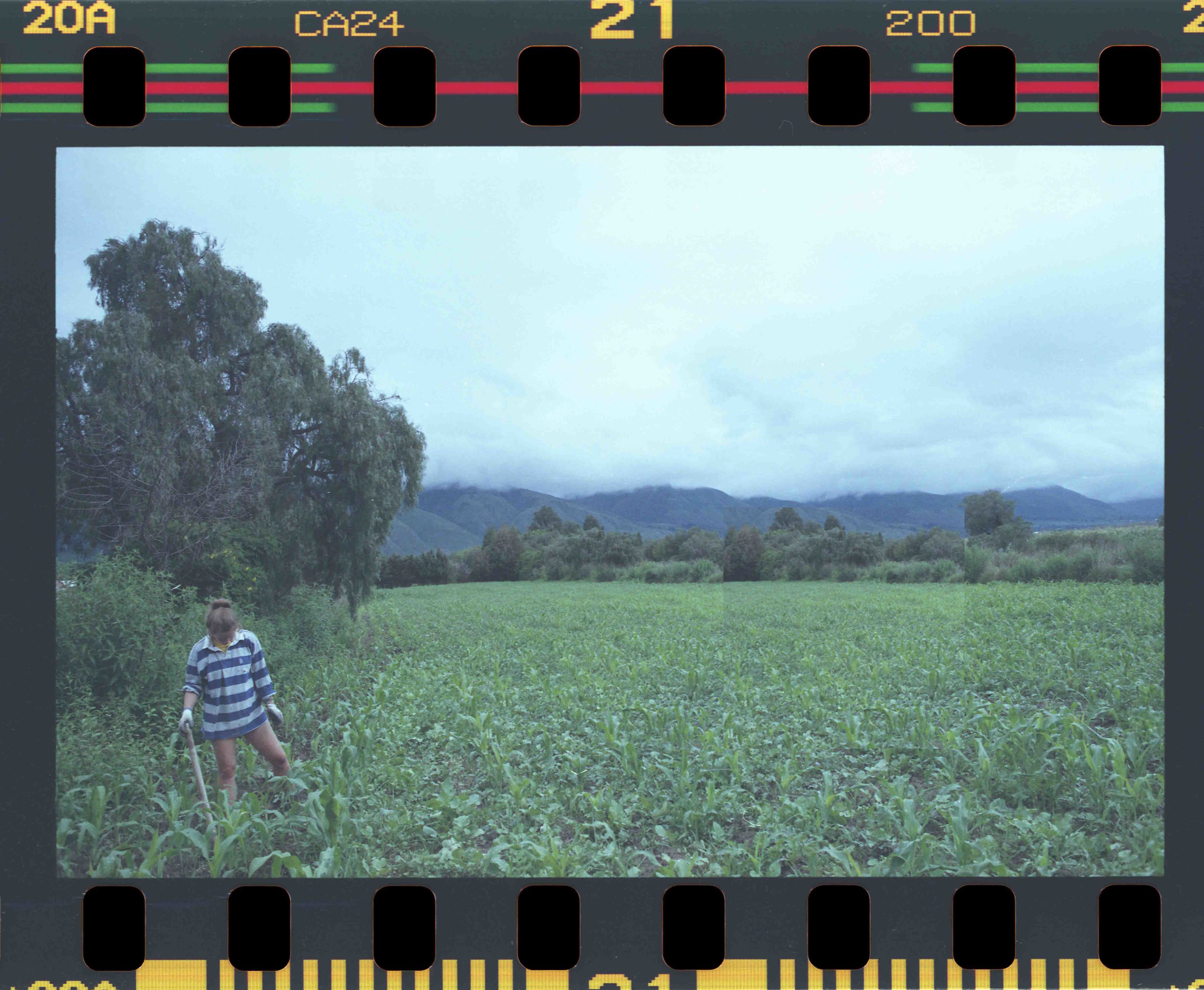  A British volunteer at the farm in Vinto 