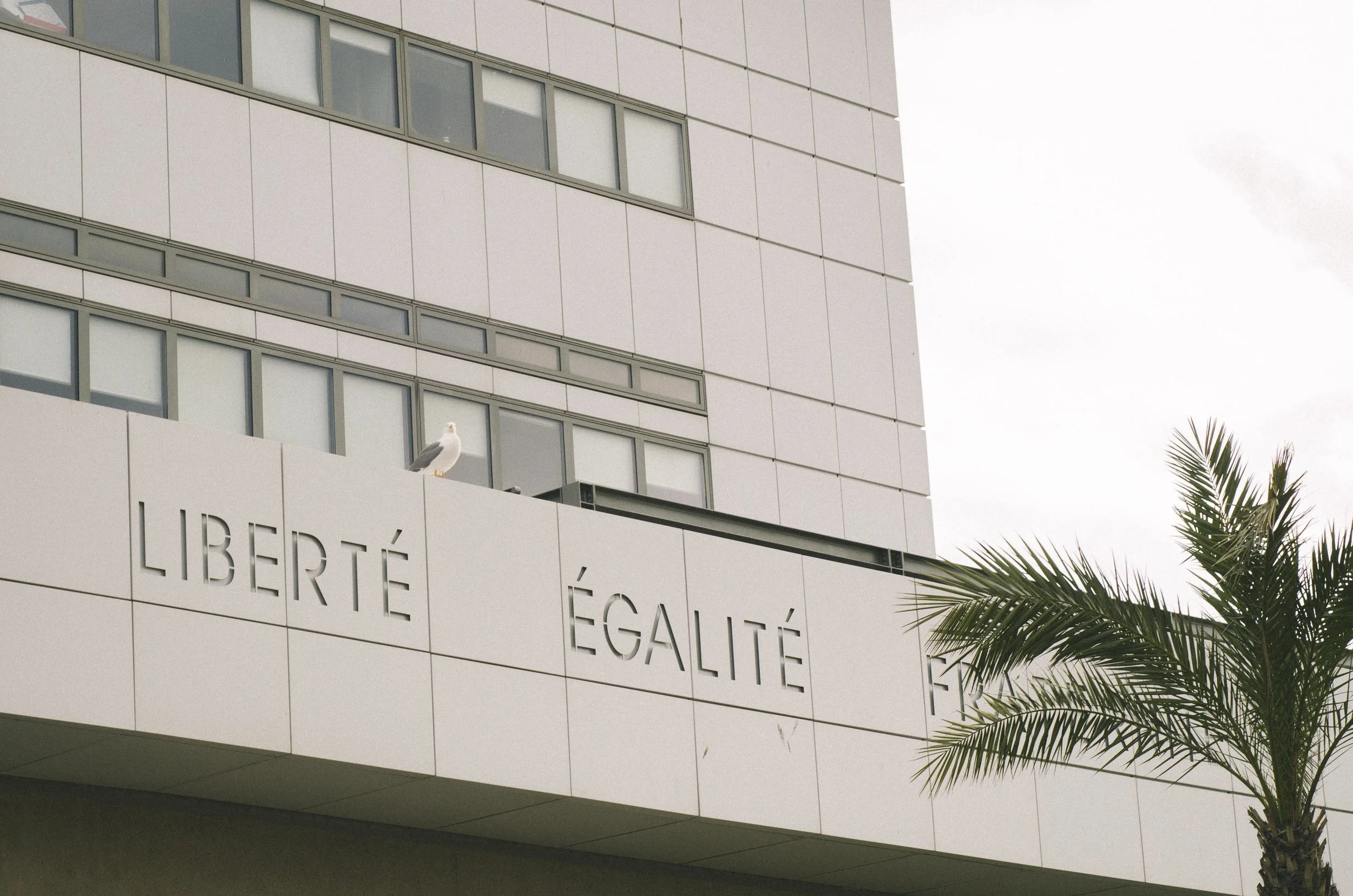 march 5 // France's motto: Liberté, Égalité, Fraternité