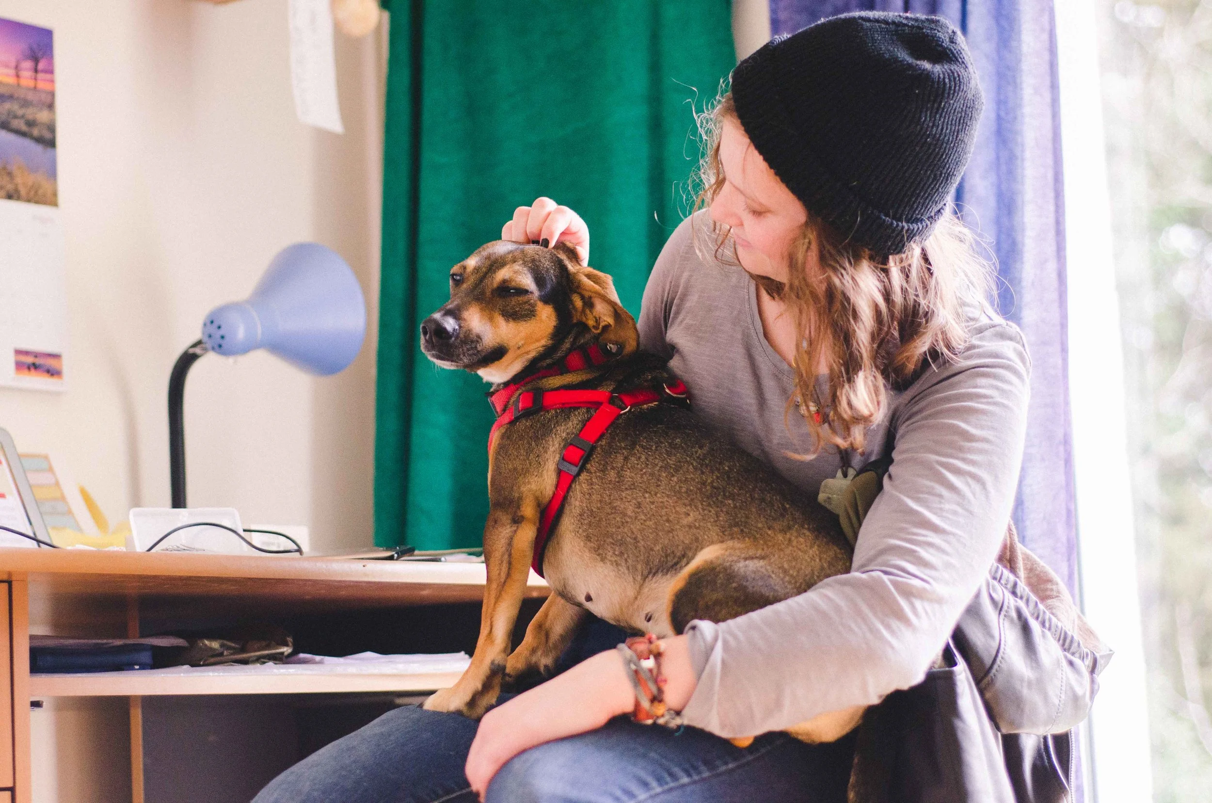 march 3 // Mahlu and Emily, the best hosts and guides (four legged and human, respectively) <3