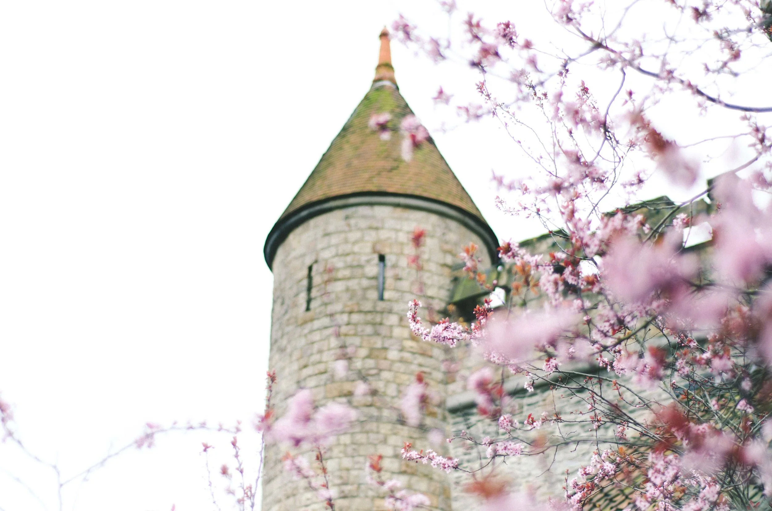 Gravensteen + spring