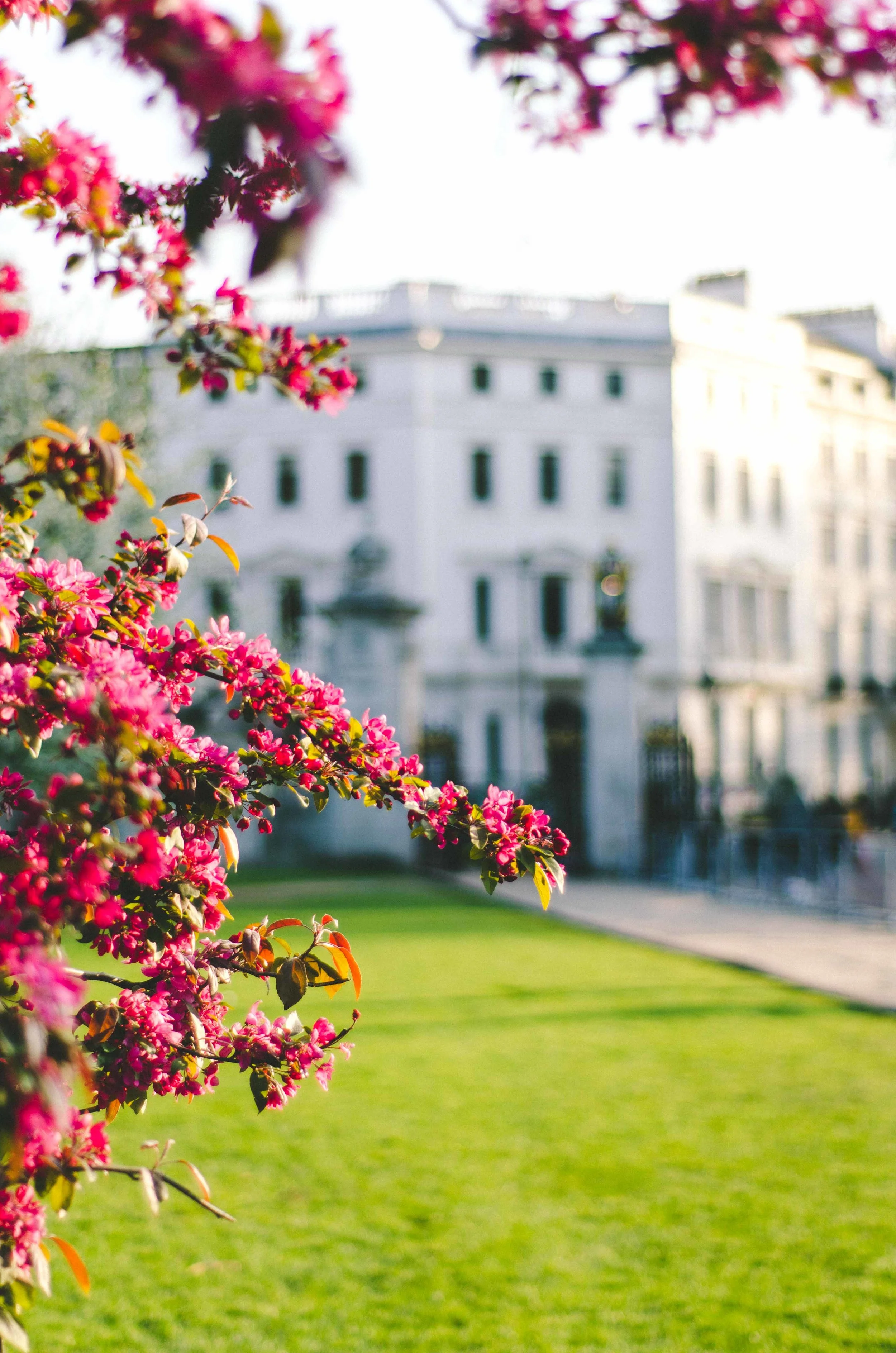 Spring in London.
