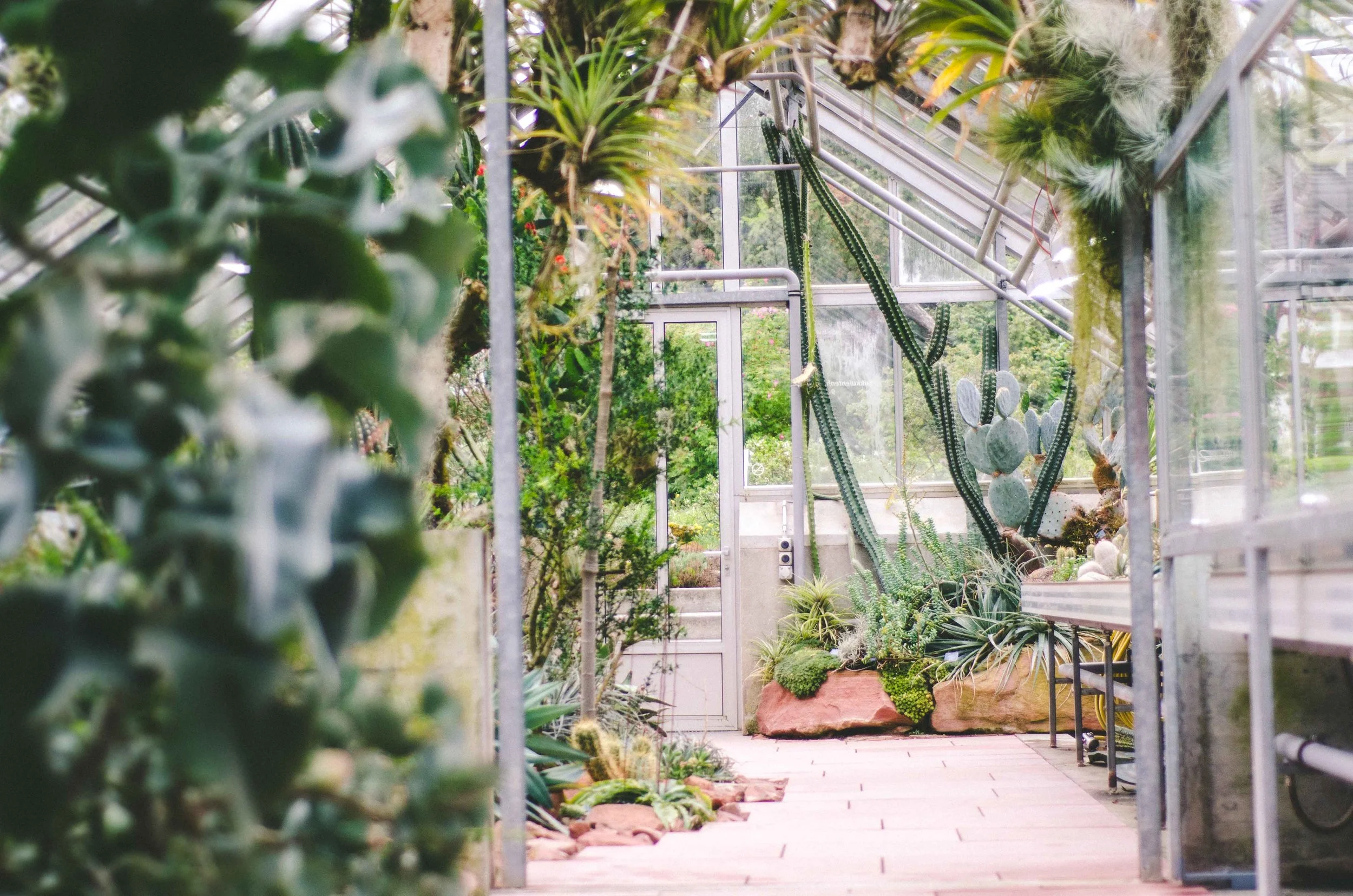 Universitaet Basel Botanical Garden