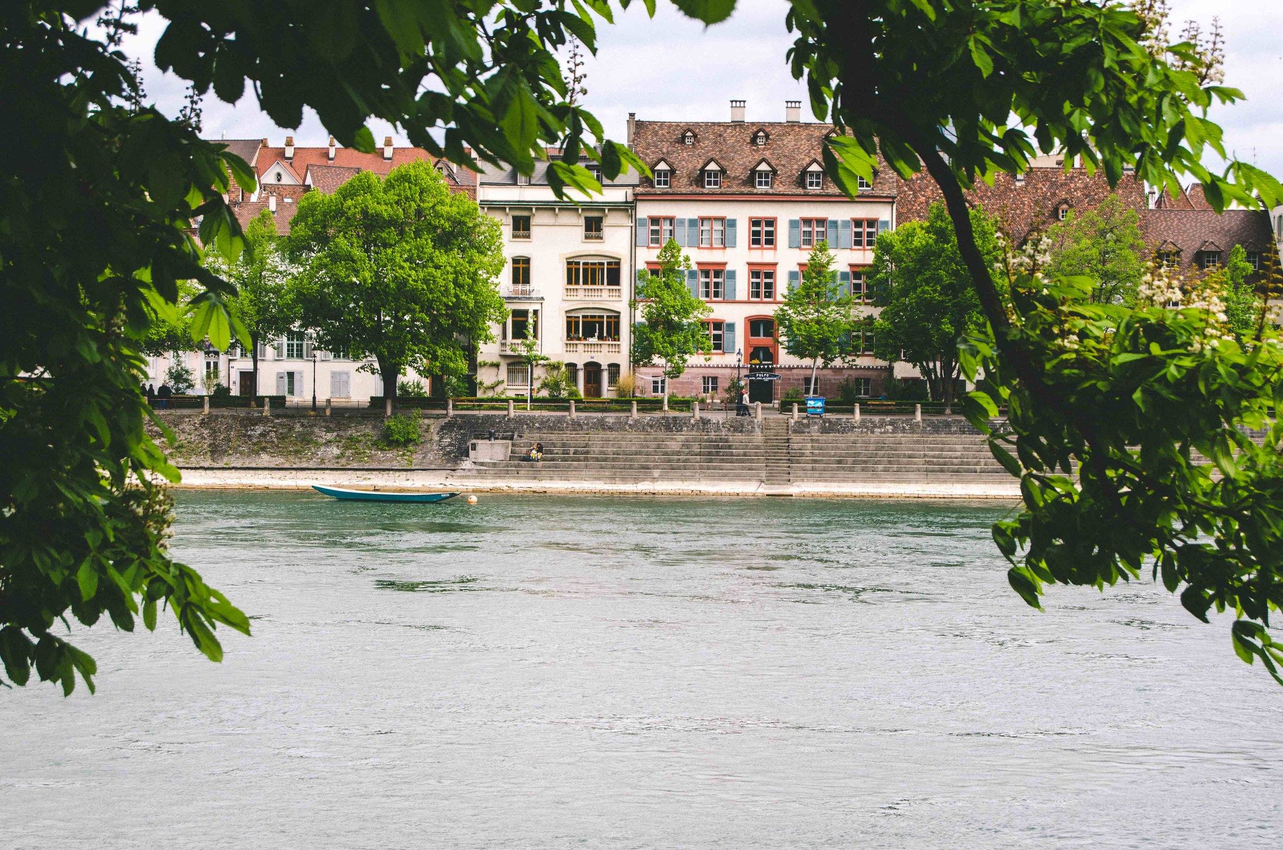 The Rhine river as seen from Pfalz lookout point