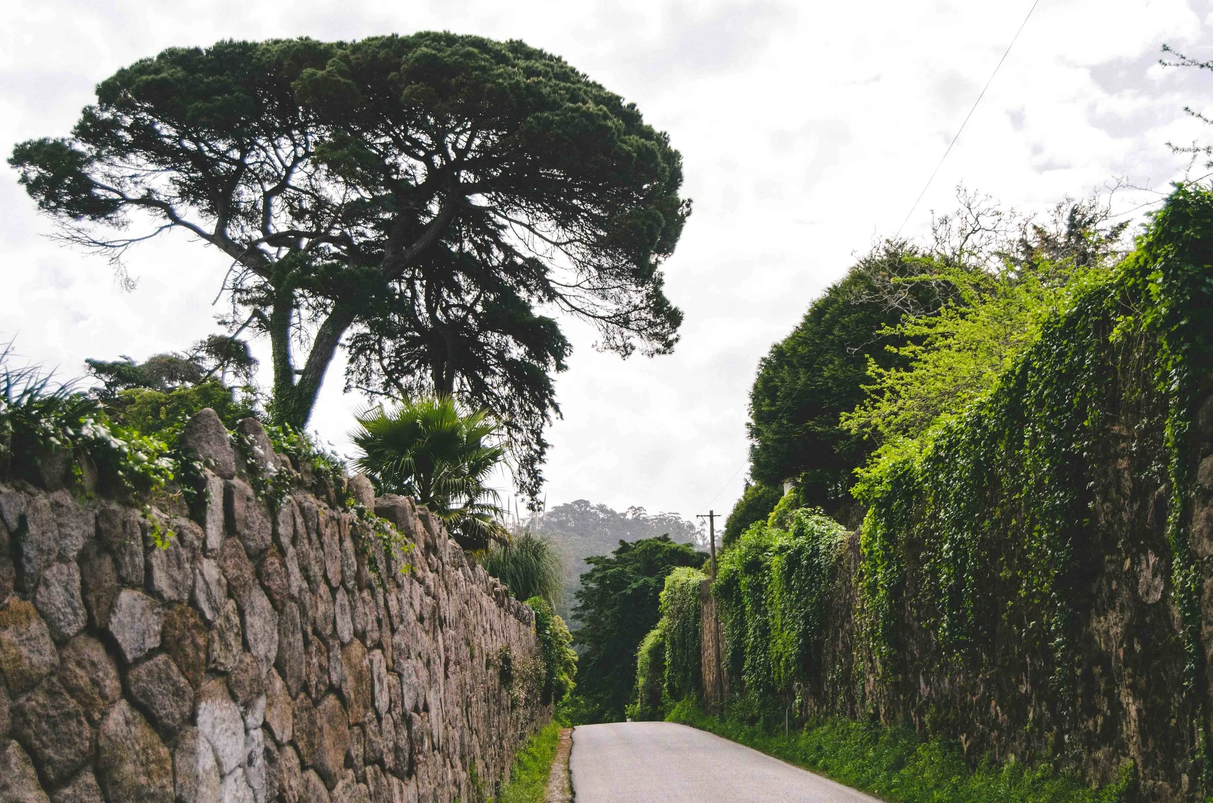 En route to Palácio de Monserrate