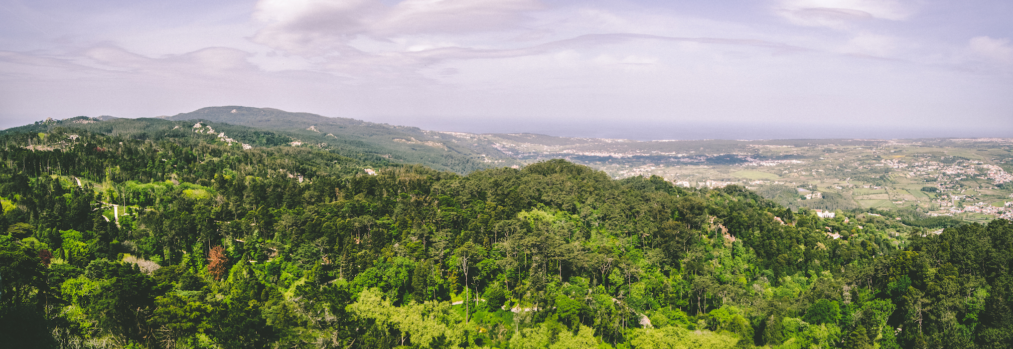 View towards the ocean