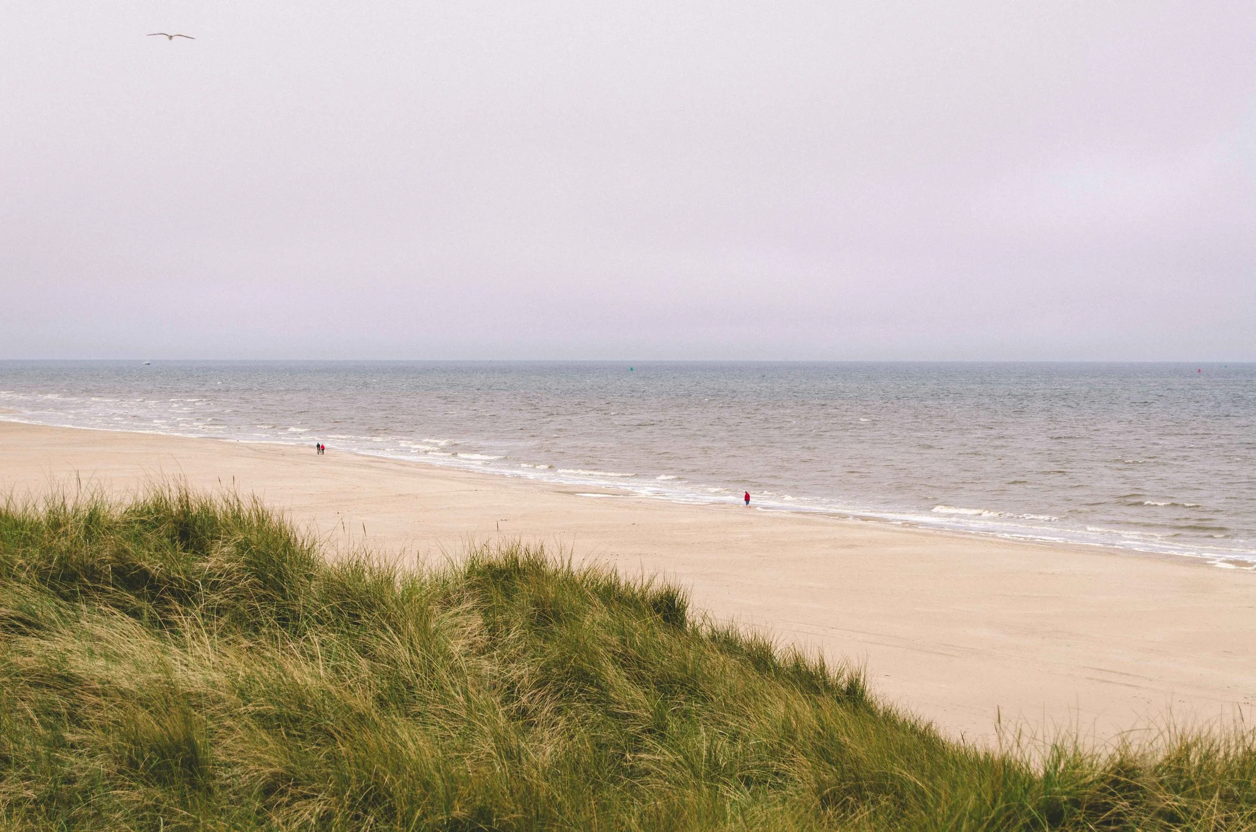 Sand dunes and the sea. After I walked a bit in the surf I found the sign declaring a phosphorous alert for water that day. Oops.