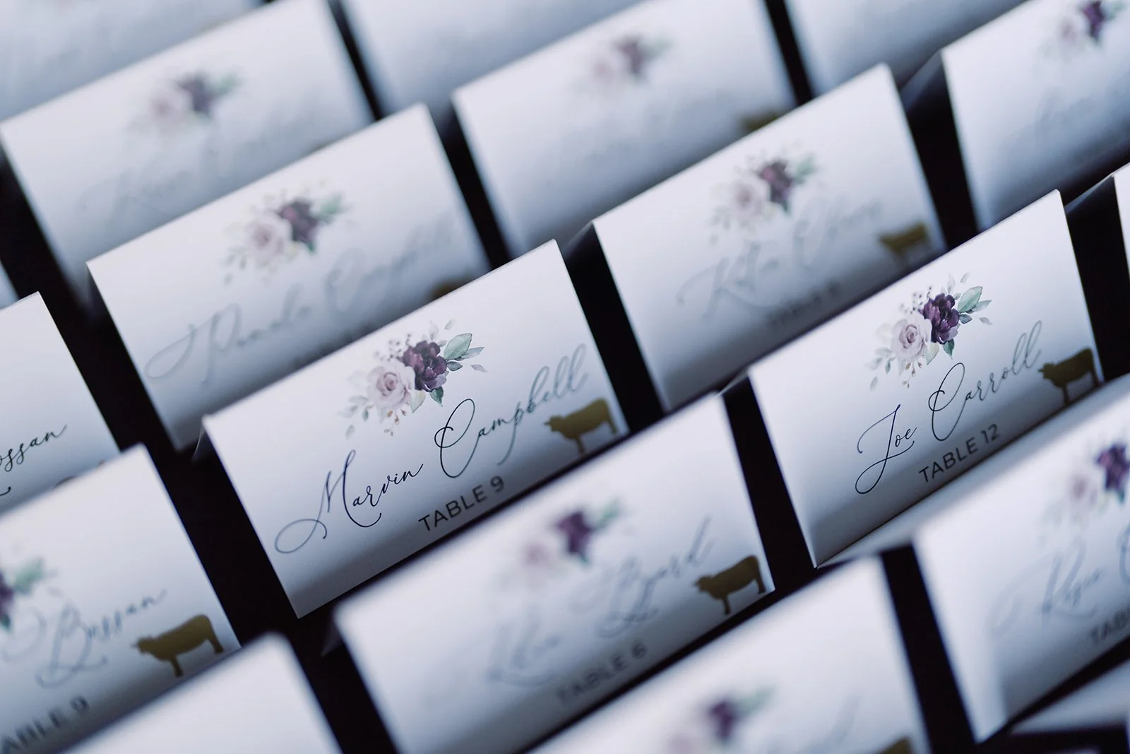 MONSERATE VINEYARDS_16.jpg