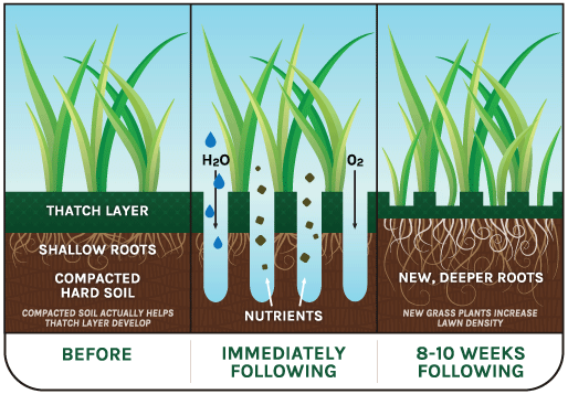 We follow this service with an application of 3 ammendments that maximize the lasting benefits of this service. See Aeration Special