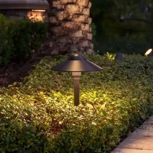 Mini Magnum Pro.webp