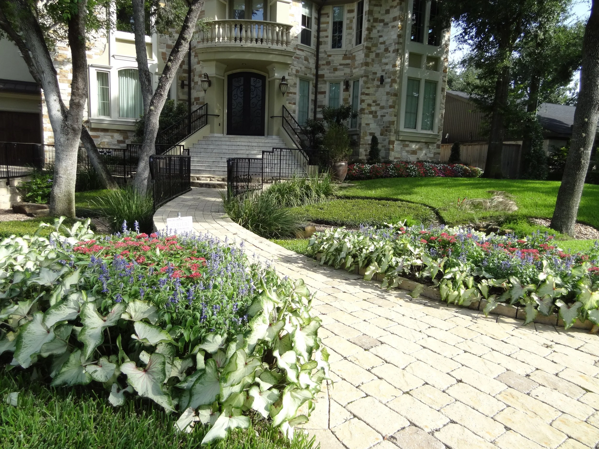 Yabra summer front (7).JPG