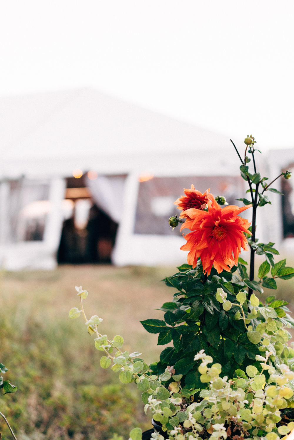 www.thestyledsoiree.com | Photo: Chandler Kim | Private Ranch wedding venue in Buena Vista, Colorado