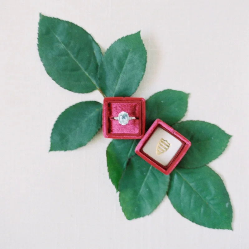Use rose leaves to create a minimal collage to style your ring. Styling by The Styled Soiree, Ring from Abby Sparks , Photo by Sara Lynn Photo