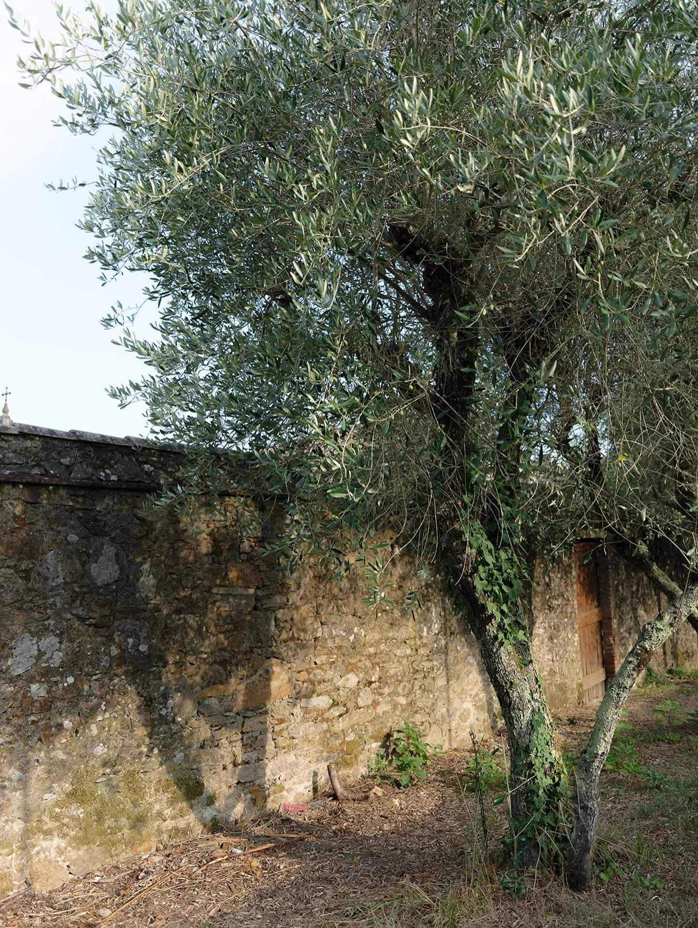 The olive trees behind the villa caught the light right before dinner… one of those small, unplanned moments that make a wedding day feel timeless.
Choosing venues with this kind of inherent character is one of my favorite parts of planning