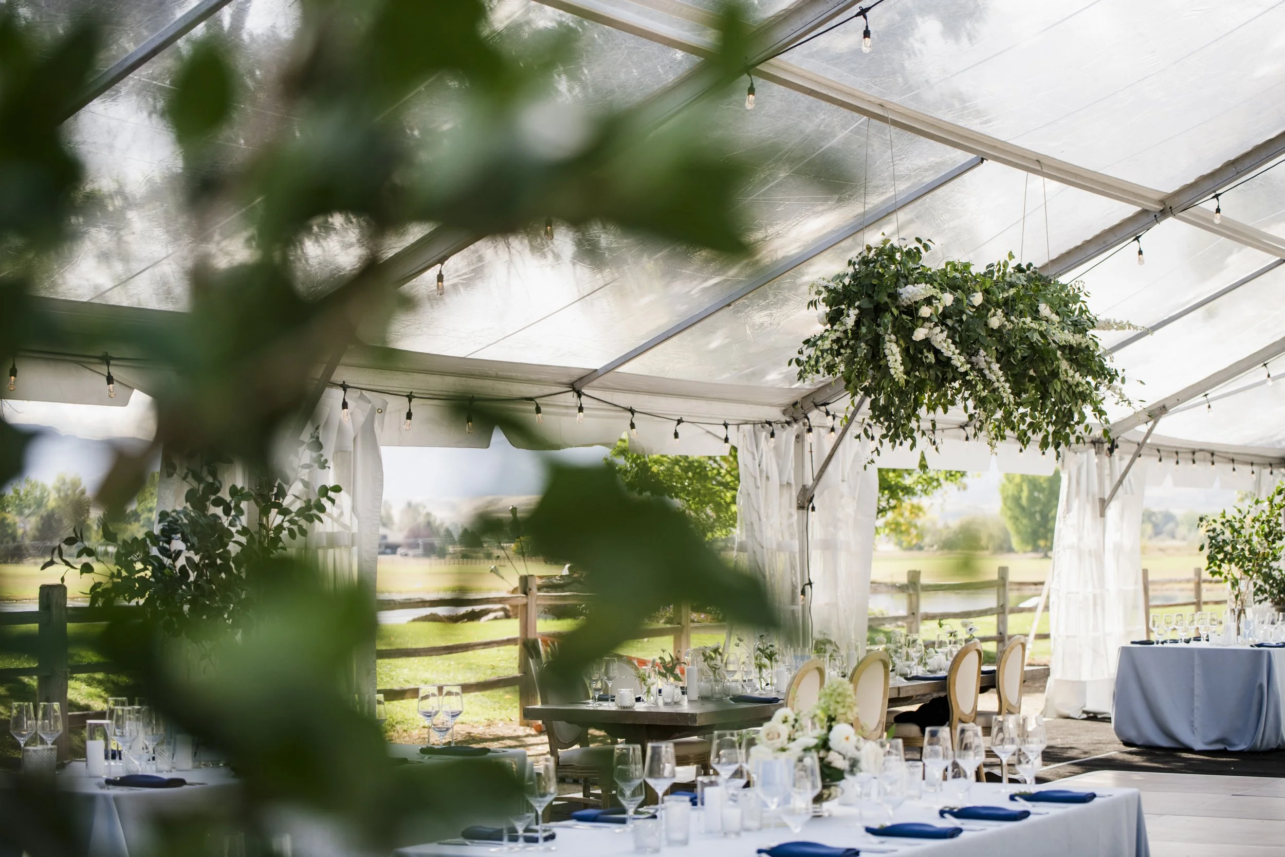 CharleyNickW_597 (1).jpg