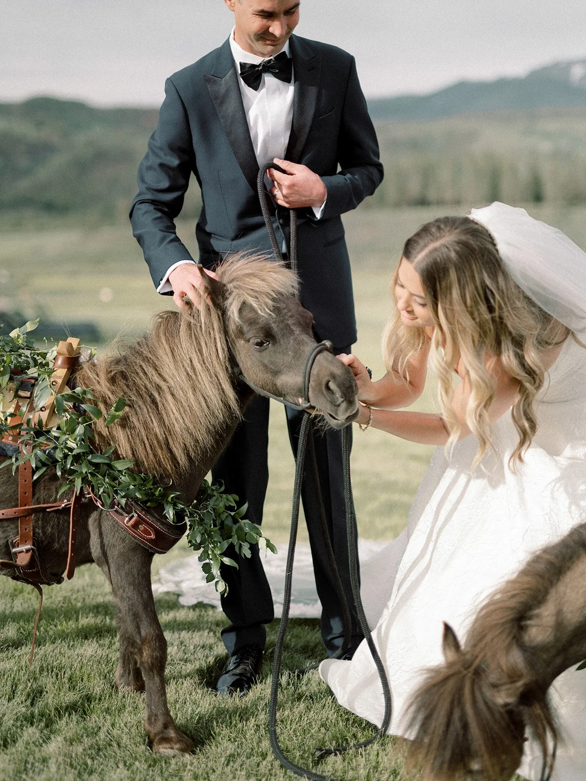 Mini horse carrying champagne for guests at a Devil’s Thumb Ranch wedding.