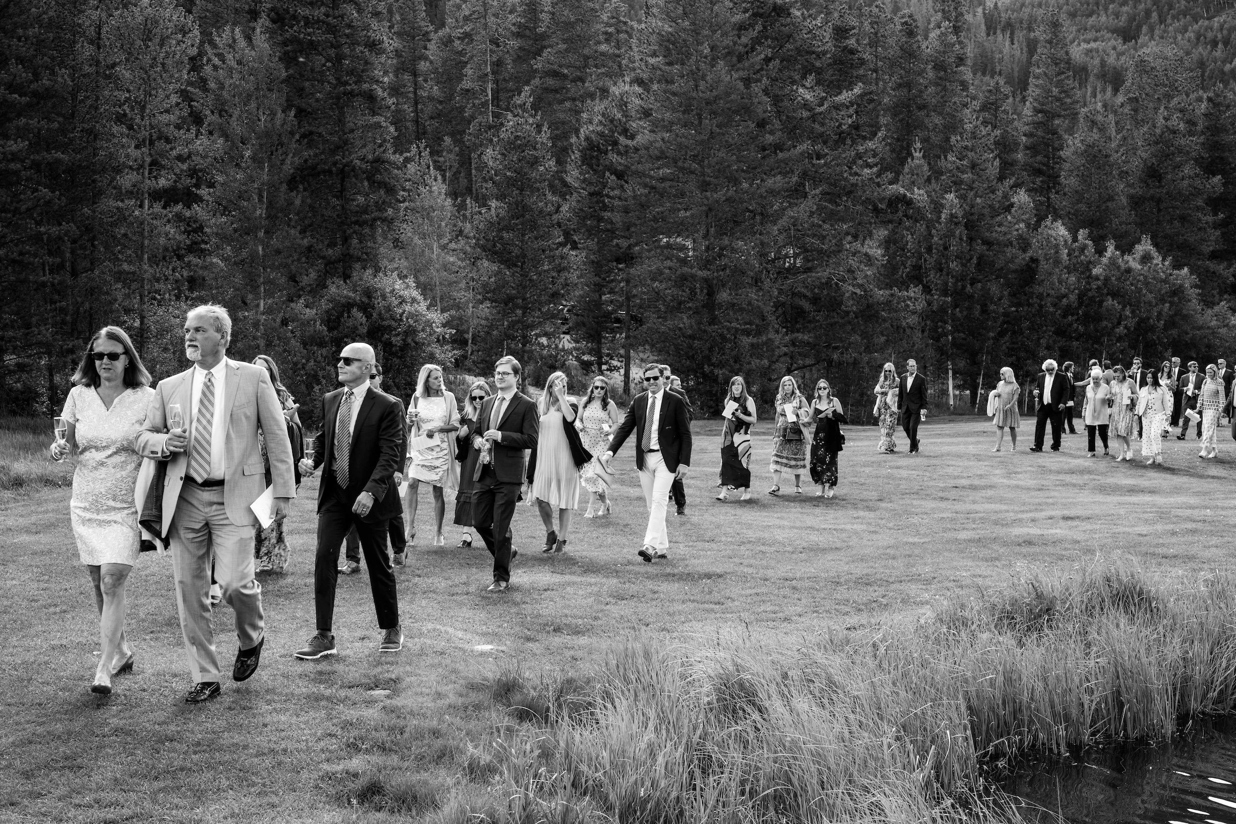 Wedding guests walking through an open Colorado mountain meadow