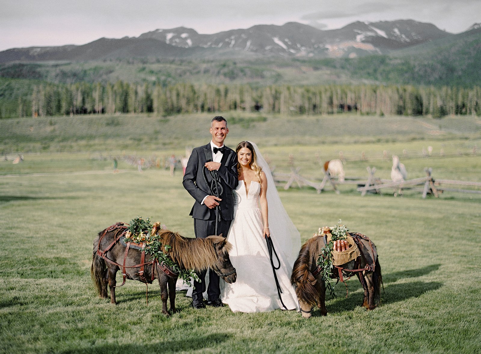 Newlyweds with champagne-carrying mini horses in the Colorado mountains.