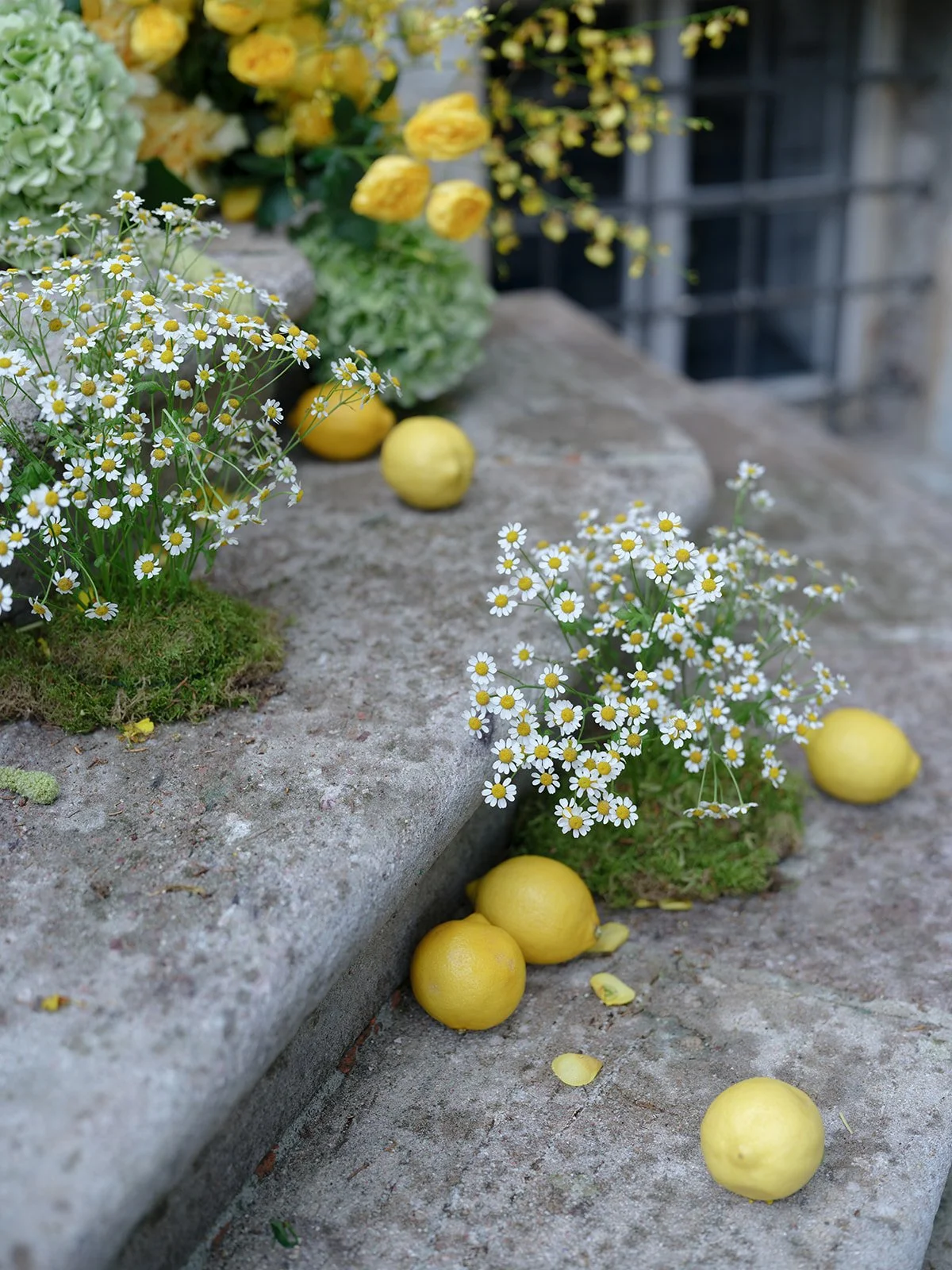 Italy Retreat-Carrie King Photographer-25.jpg