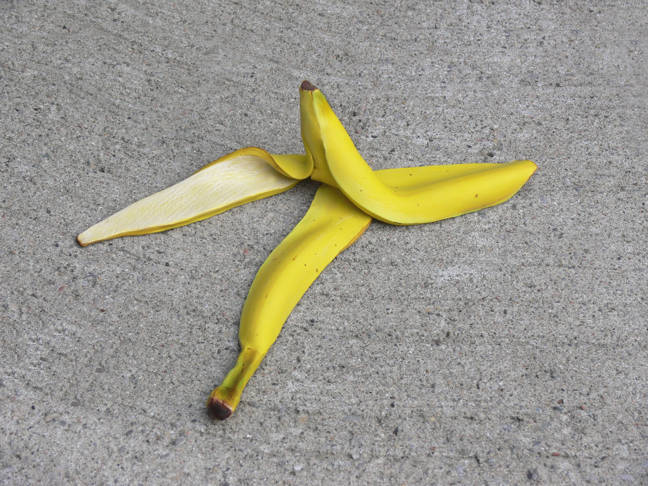 Caution Yellow, 2009