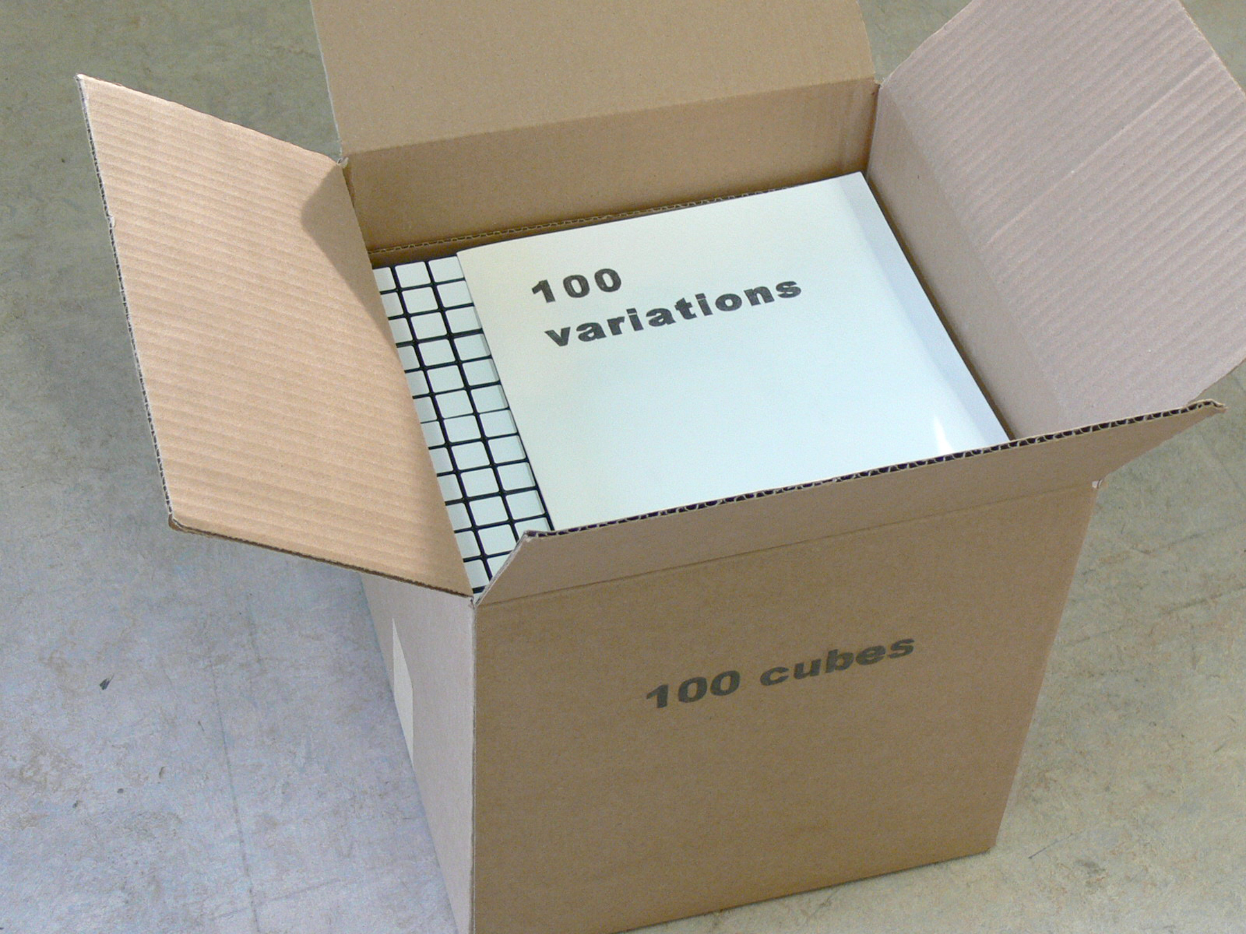 Possible Forms, 2008